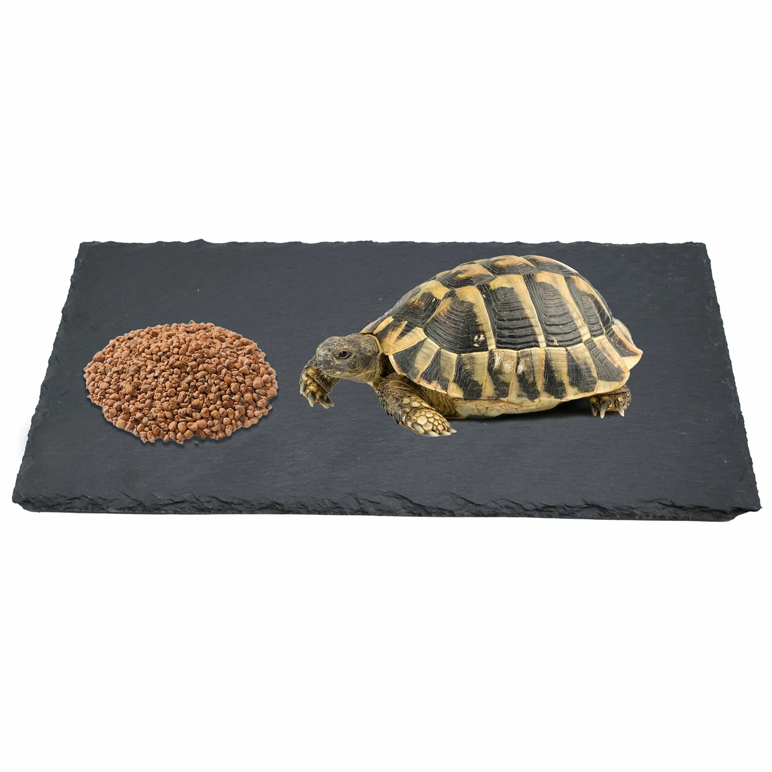 Plateau en Ardoise pour Reptiles 30x15 cm Plateforme de Repos Tortue Lézard