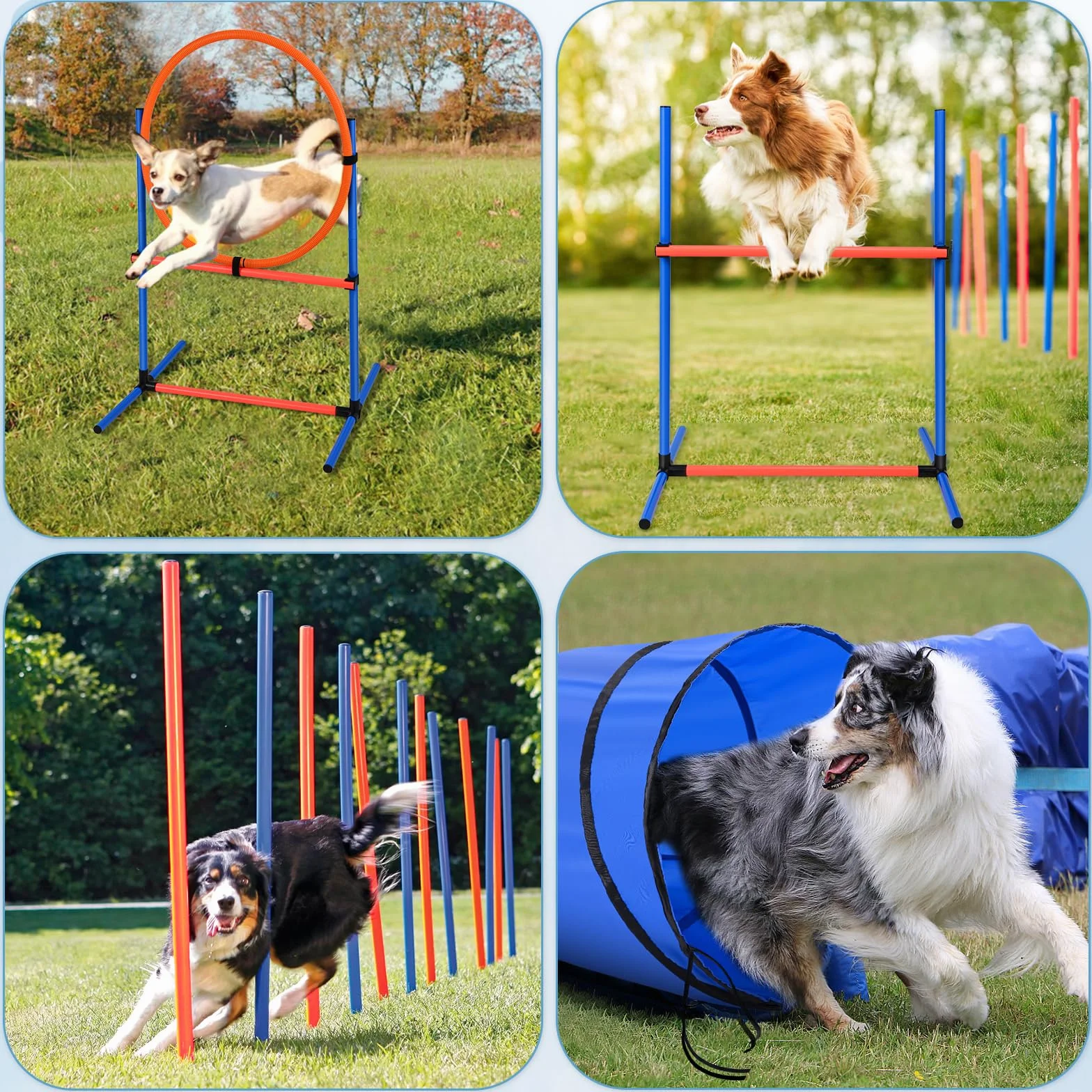 Agility Kit pour Chien avec Tunnel 170 cm, 8 Barres de Slalom, Hauteur réglable
