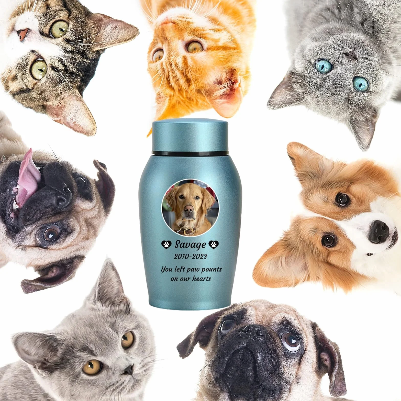 Urnes pour Cendres de Chien personnalisées en Acier Inoxydable, Bleu, Big