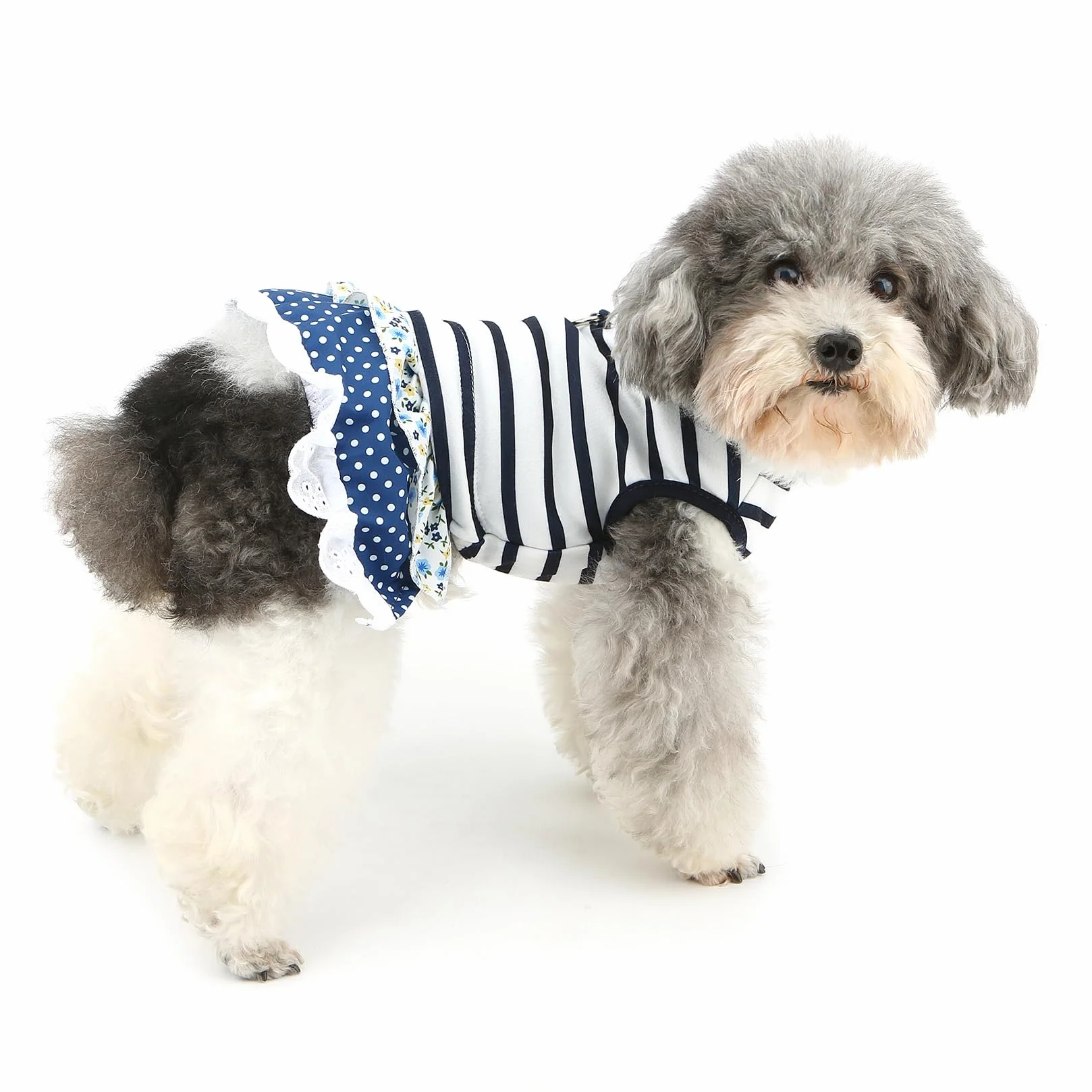 Robe rayures nautiques chien XL jupe dentelle florale pois anneau D yorkshire chihuahua printemps été