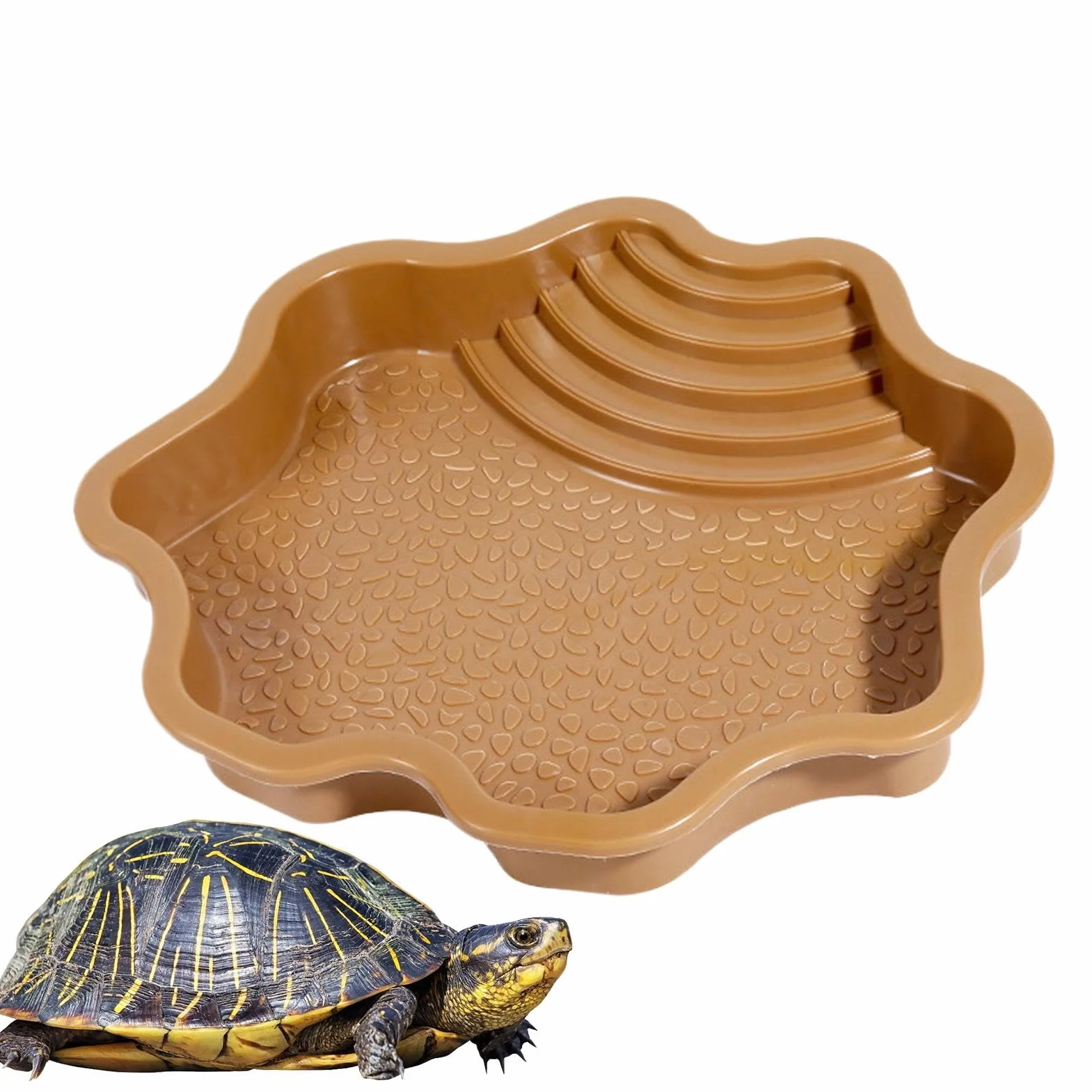 Mangeoire pour Reptile | Mangeoire d'eau pour Tortue avec Rampe | Accessoires pour Habitat de Reptile pour Salamandre, Dragon Barbu, lézard, Grenouille, Serpent, Gecko
