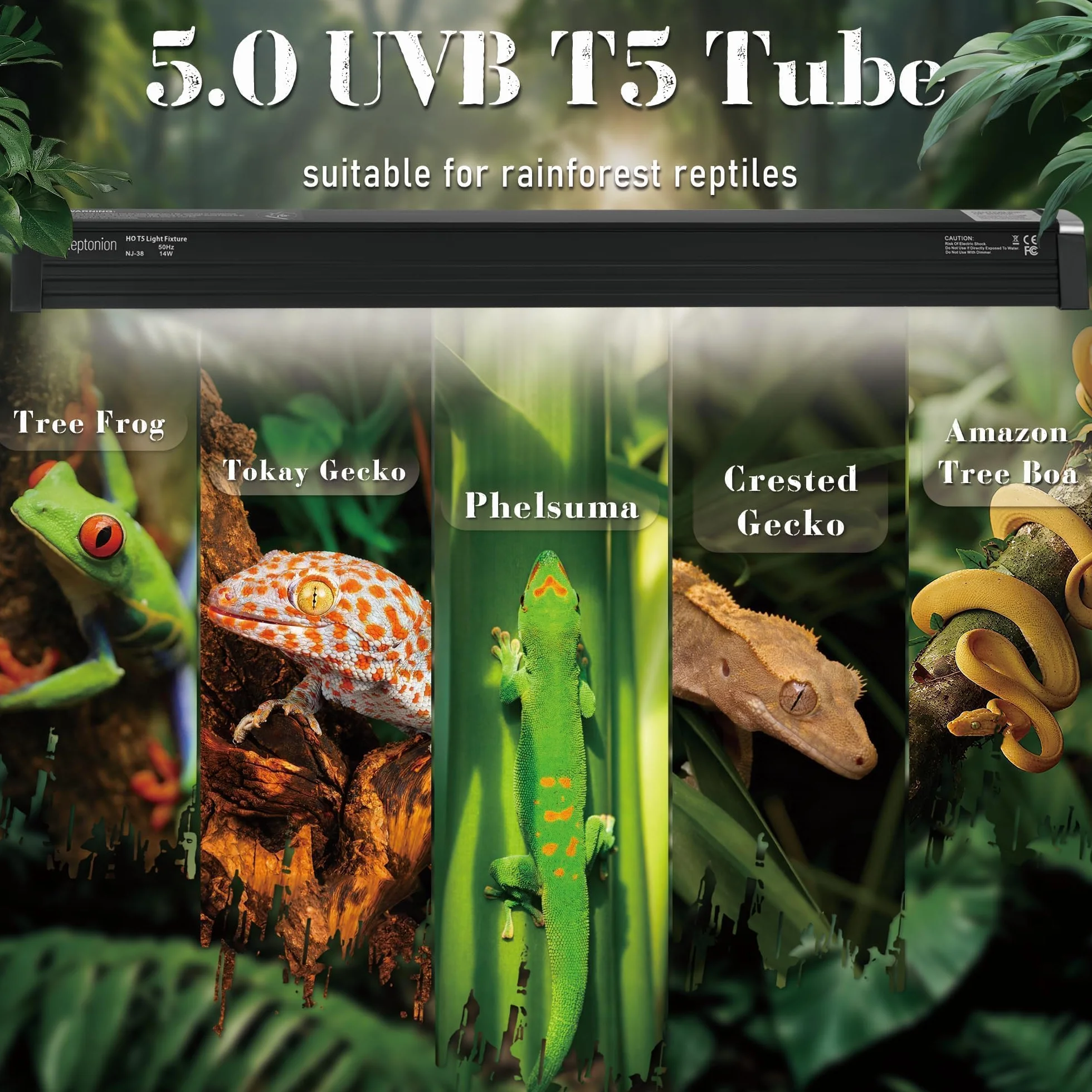 Lampe UVB T5 31,8 cm 8 W pour reptile terrarium avec ampoule UVB 5.0