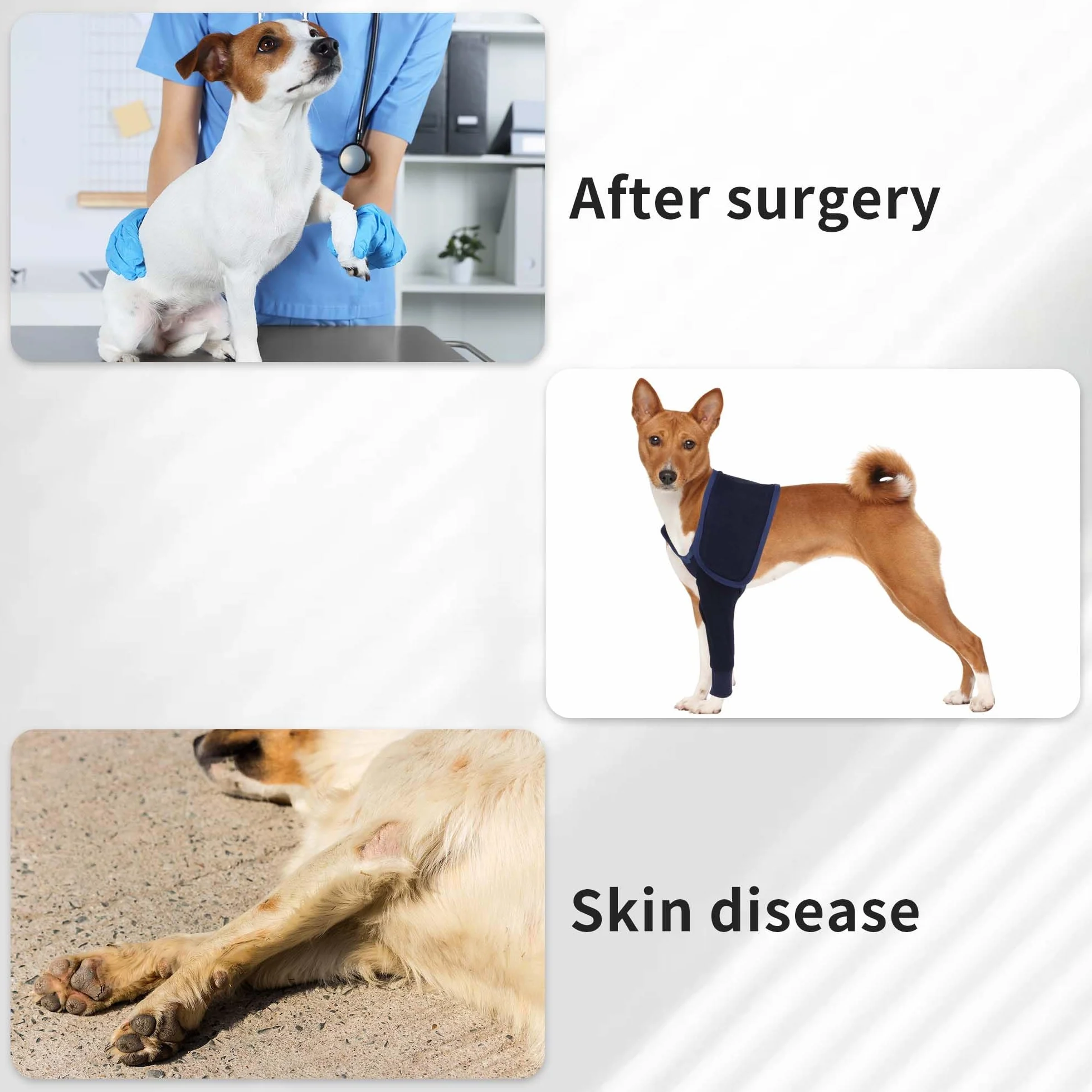 Manchon pour Patte Avant Gauche Chien, Protège-Patte Avant Récupération, Bandage Protecteur, L, Bleu