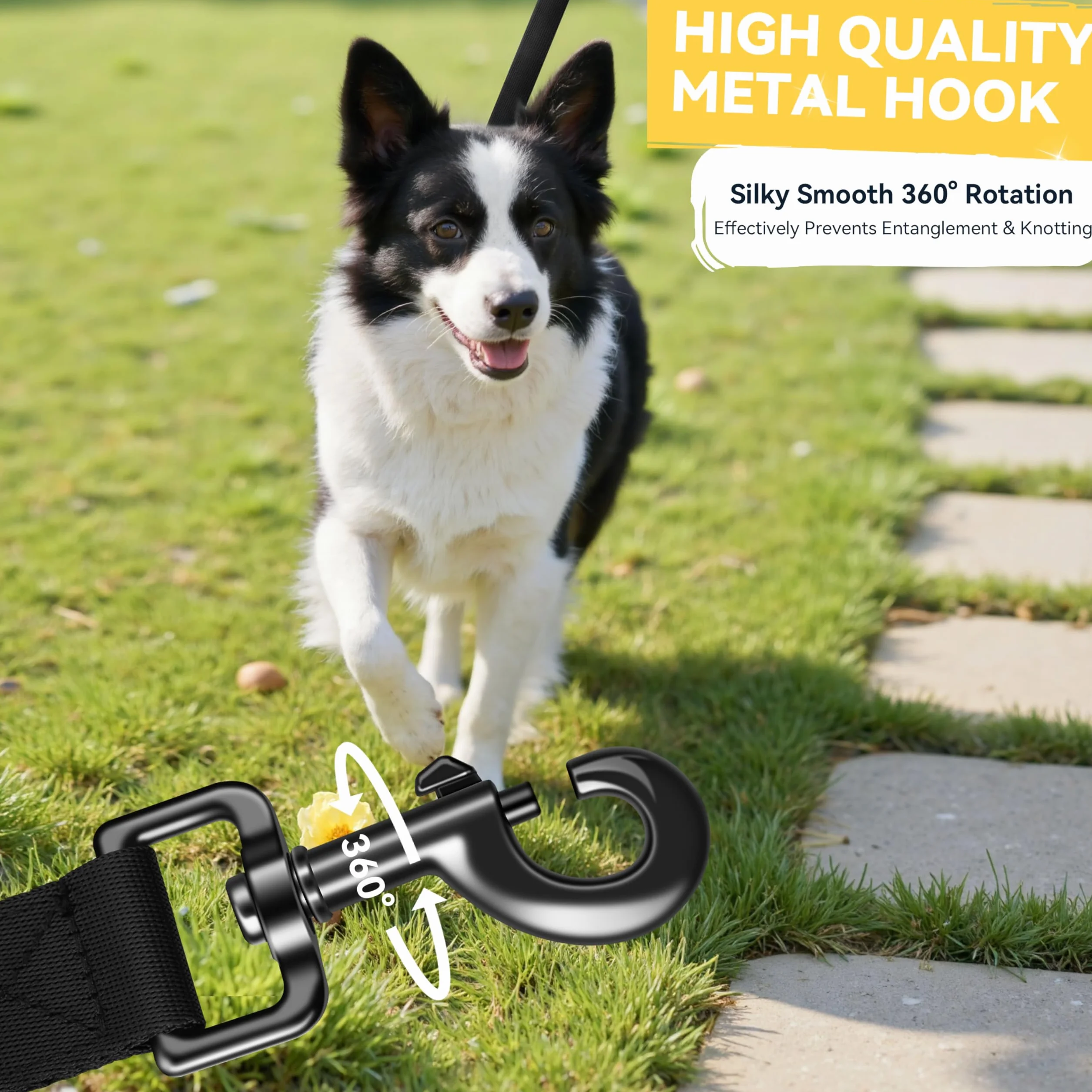 Longe pour Chien 3m 5m 10m 15m 20m 25m 30m Laisse de Dressage Robuste Poignée Rembourrée