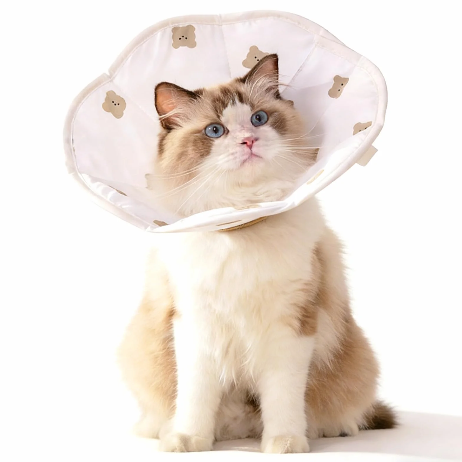 Collier conique doux anti-morsure pour chat de récupération ajustable léger