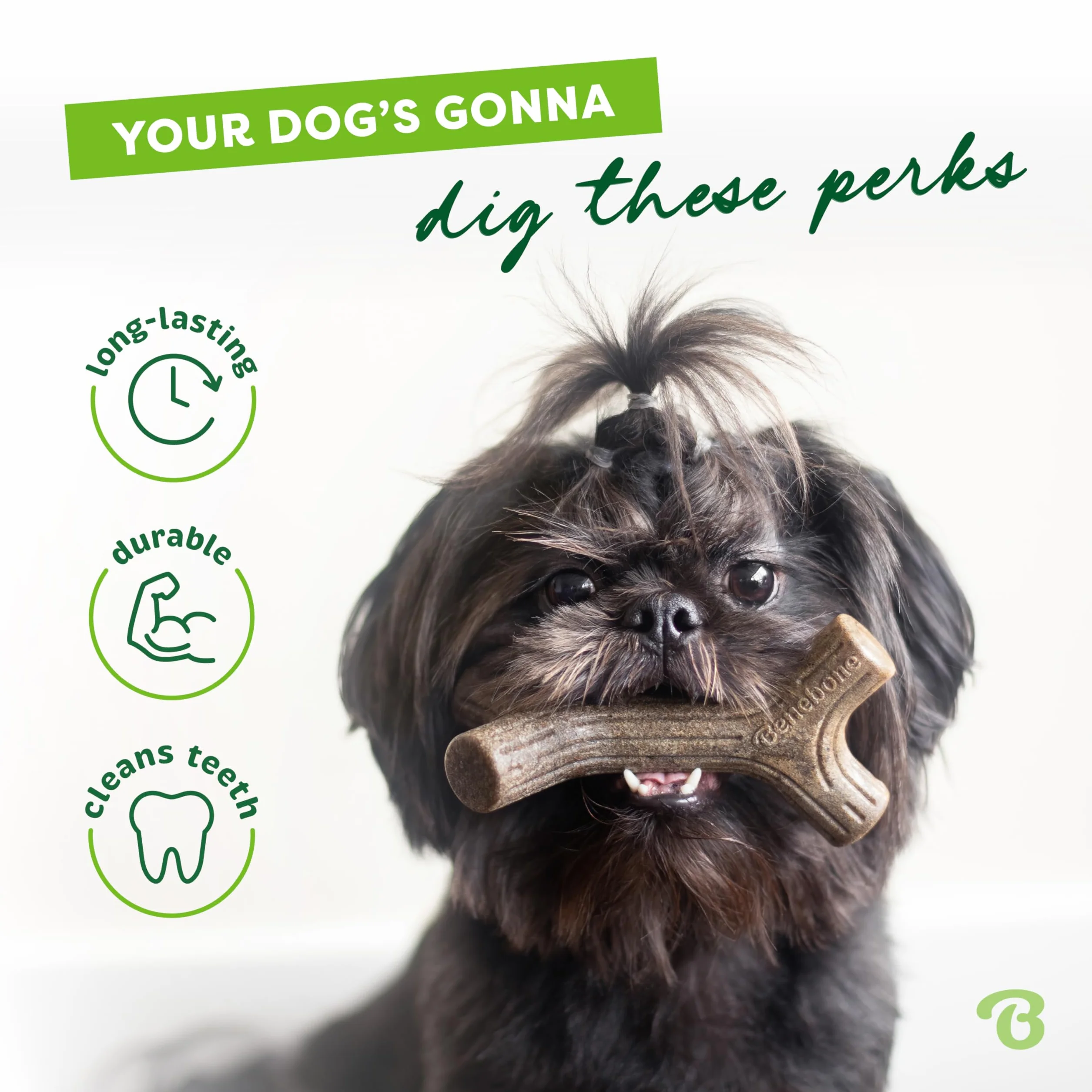 Benebone Bâton à mâcher Indestructible pour Grands Chiens, Saveur Bois d'érable, Durable et Résistant