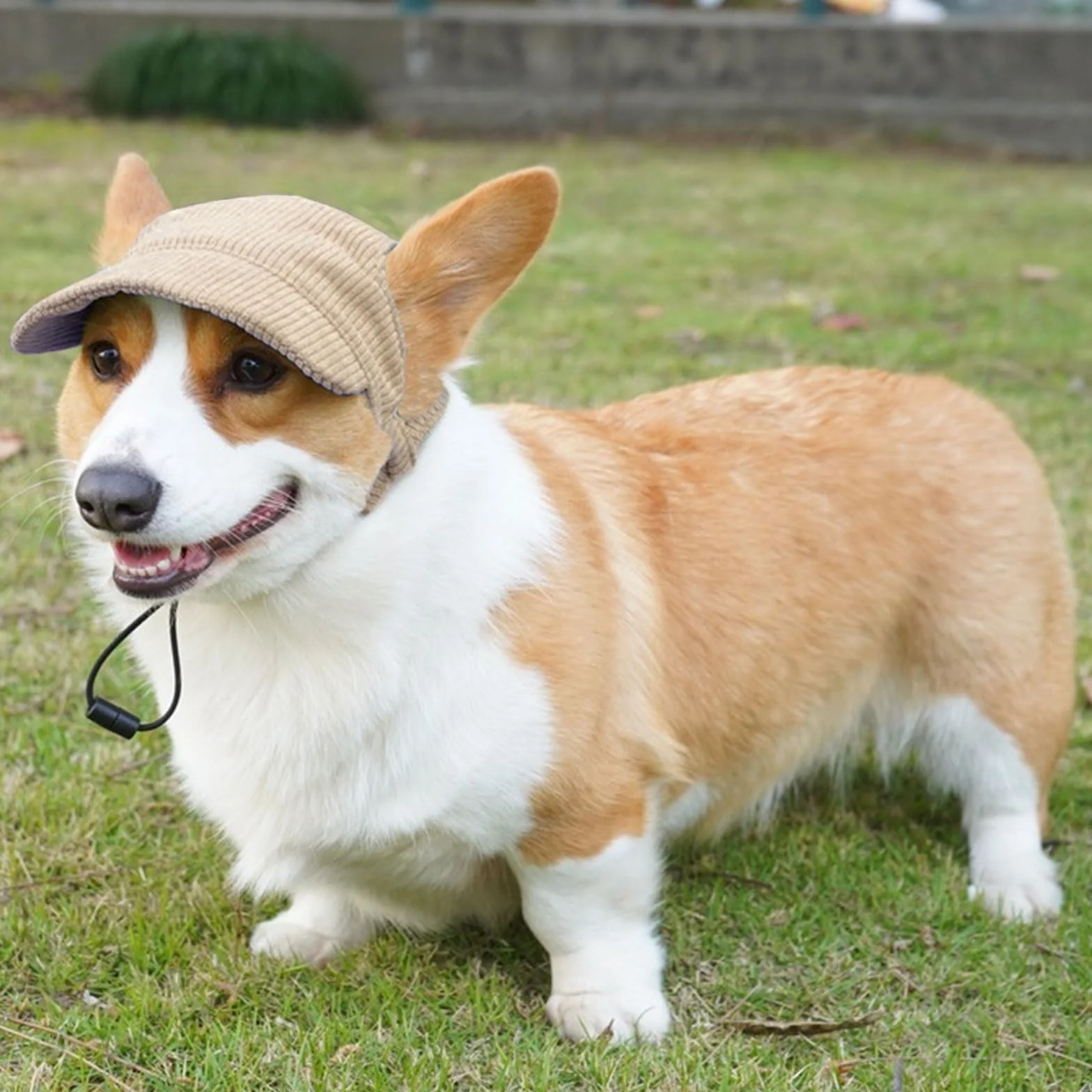 Casquette de baseball chien réglable protection solaire trous oreilles kaki taille XS