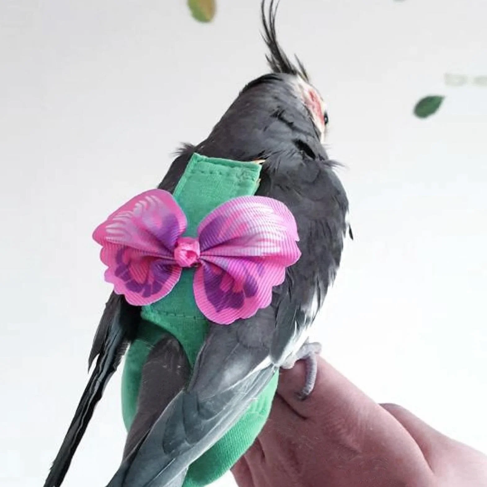 Tissu à couches pour oiseaux - Combinaison de vol souple avec sangles réglables, pantalon réutilisable pour perroquets, cockatiels, perruches