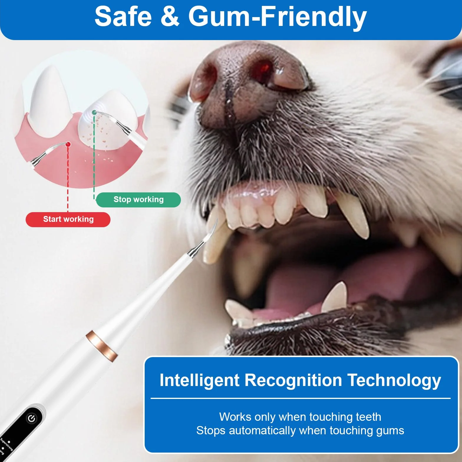 Nettoyeur Dentaire Ultrason pour Chien et Chat IPX7 Rechargeable USB-C 5 Modes LED