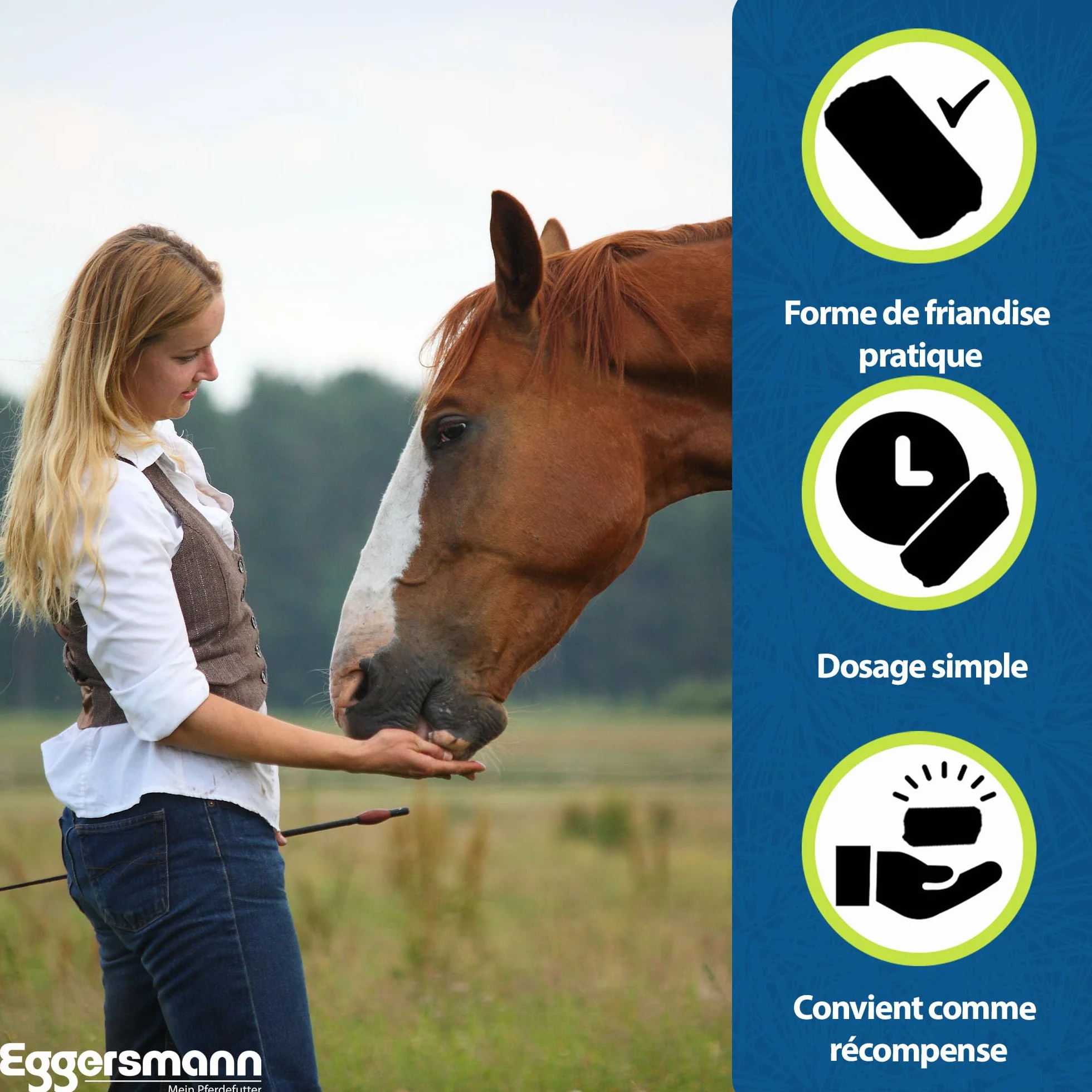 Eggersmann Briques enrichie aux minéraux pour cheval Ail 25 kg