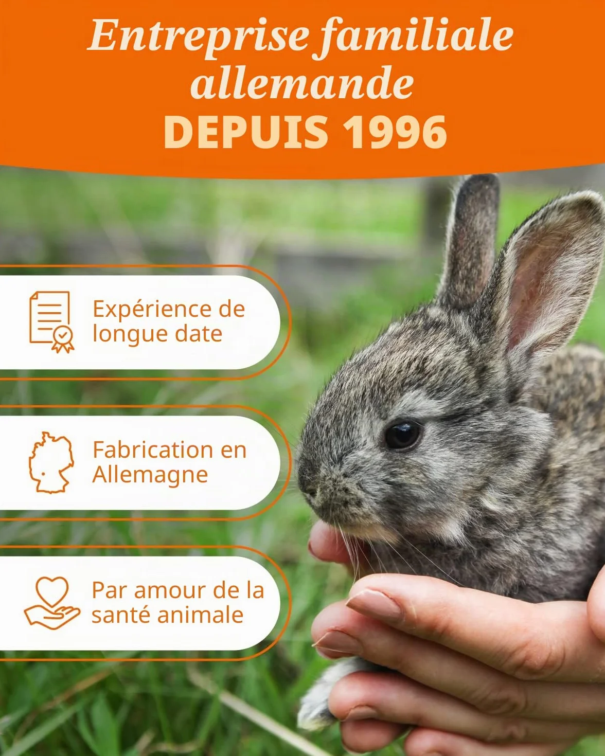 Petifool Blütenfest 380 g Complément alimentaire naturel pour rongeurs lapins cochons d'Inde hamsters chinchilla