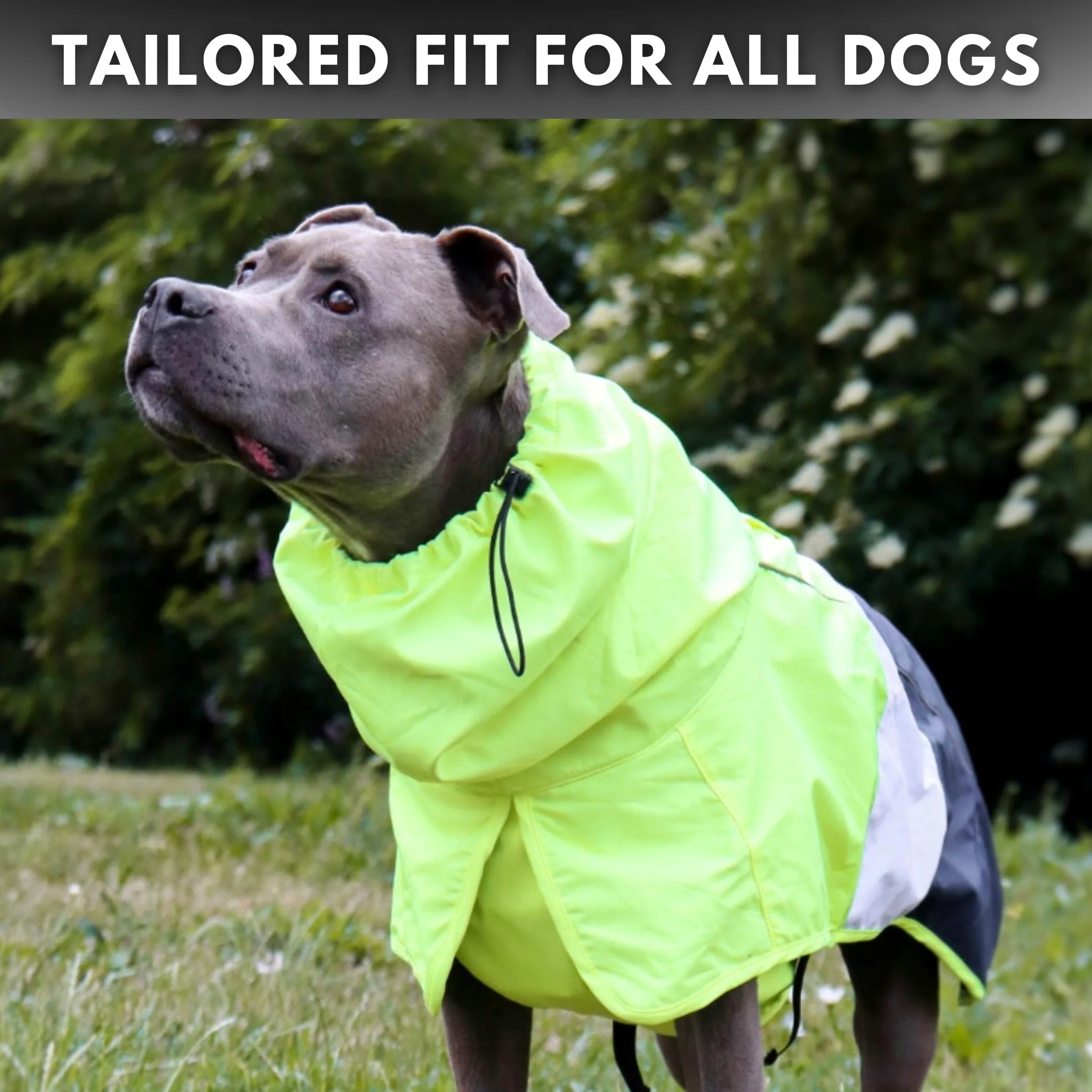 Spark Paws Manteau de pluie imperméable et coupe-vent pour chiens de petite, moyenne, grande et très grande taille, réfléchissant et respirant, couverture intégrale du corps – Blanc fluo, bleu marine,