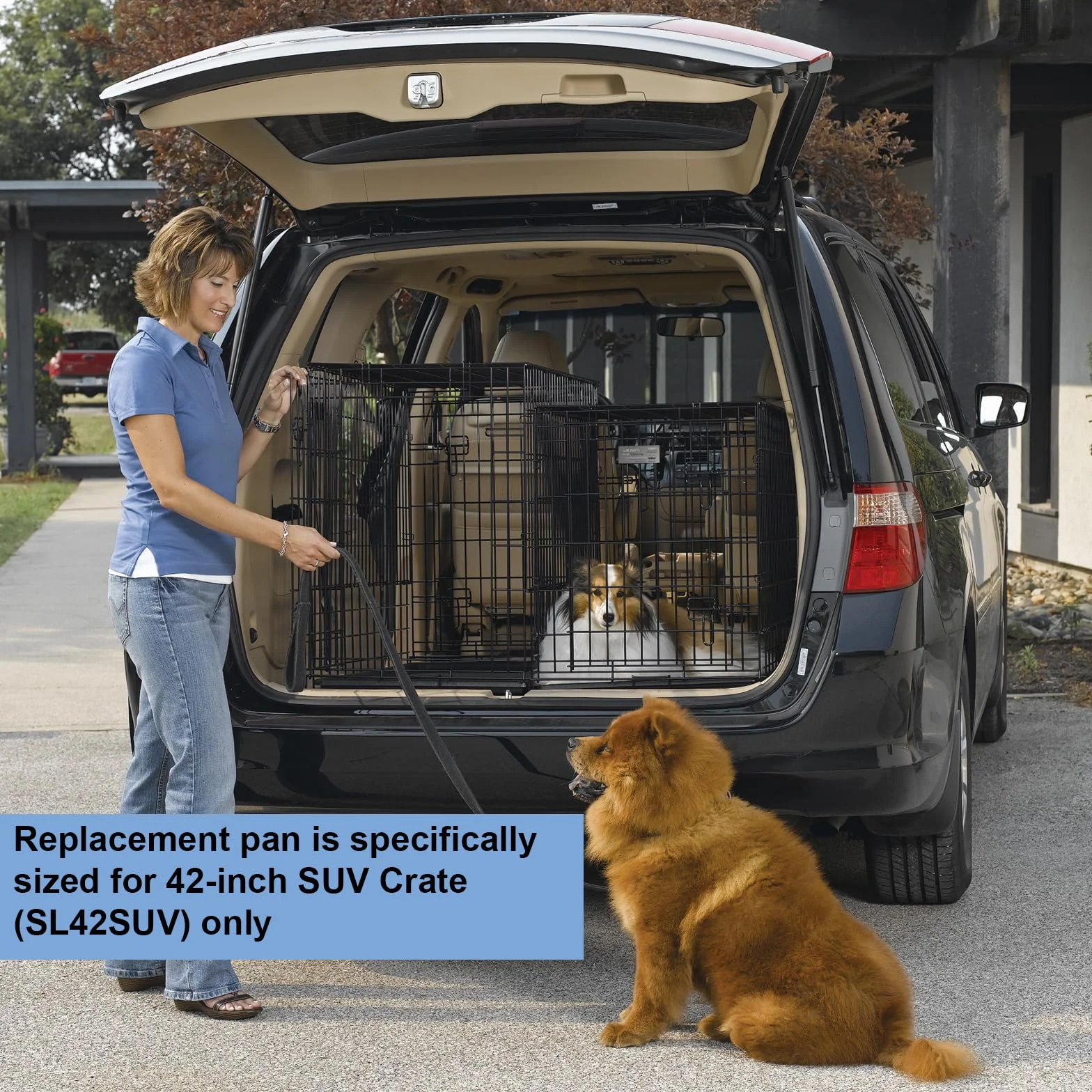 MidWest Homes for Pets 24PAN Plateau de remplacement caisse chien SUV 106,68 cm noir pour MidWest SL42SUV