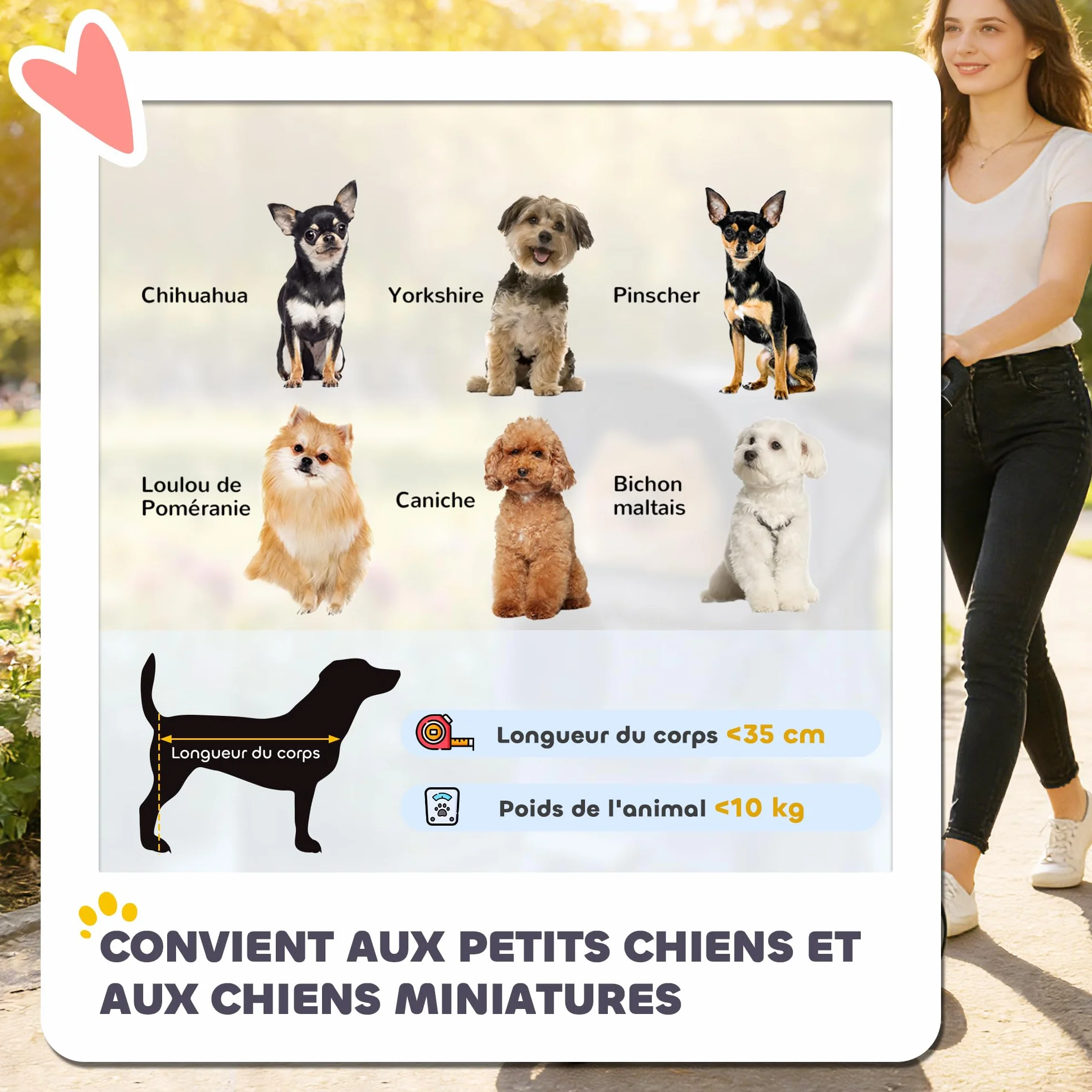 PawHut Poussette buggy pliable animaux chariot pliante imperméable chien chat toit amovible incluse porte-gobelet panier de rangement roues avec frein tissu 600D Oxford acier gris