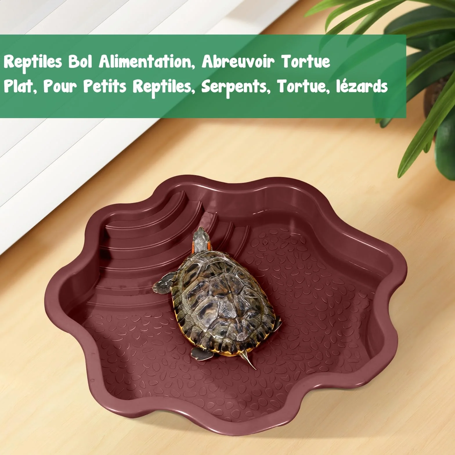 MagiDeal Bol de Bain d'eau pour Tortue, Piscine pour Reptiles avec Rampe, Rouge Brunâtre