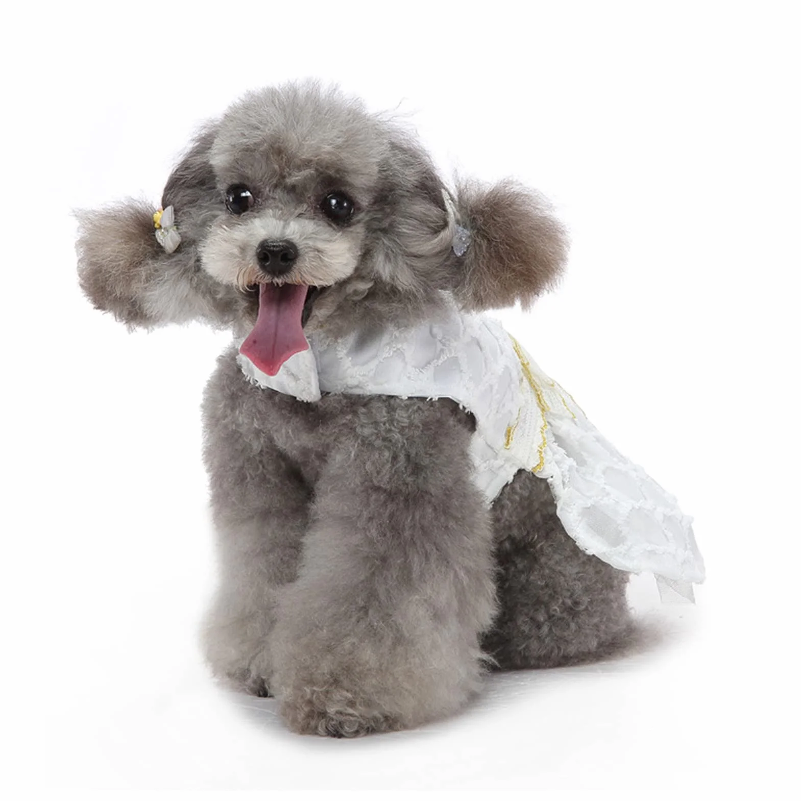 Robe de Chien Nœud Papillon Jupe Princesse Blanche Dentelle Vêtement Été Mariage (M)