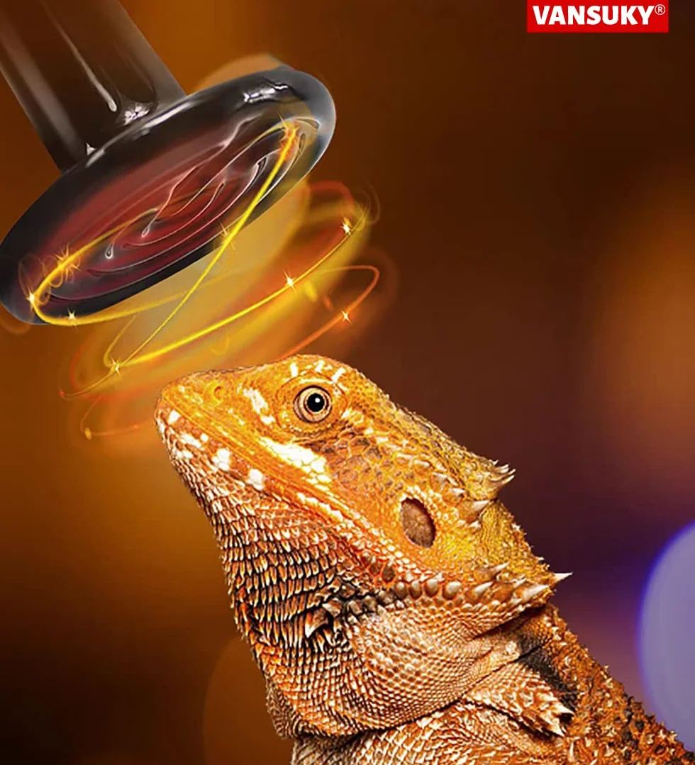 Lampe Chauffante en Céramique 200W Reptiles – Émetteur de Chaleur Infrarouge Sans Lumière 220-240V