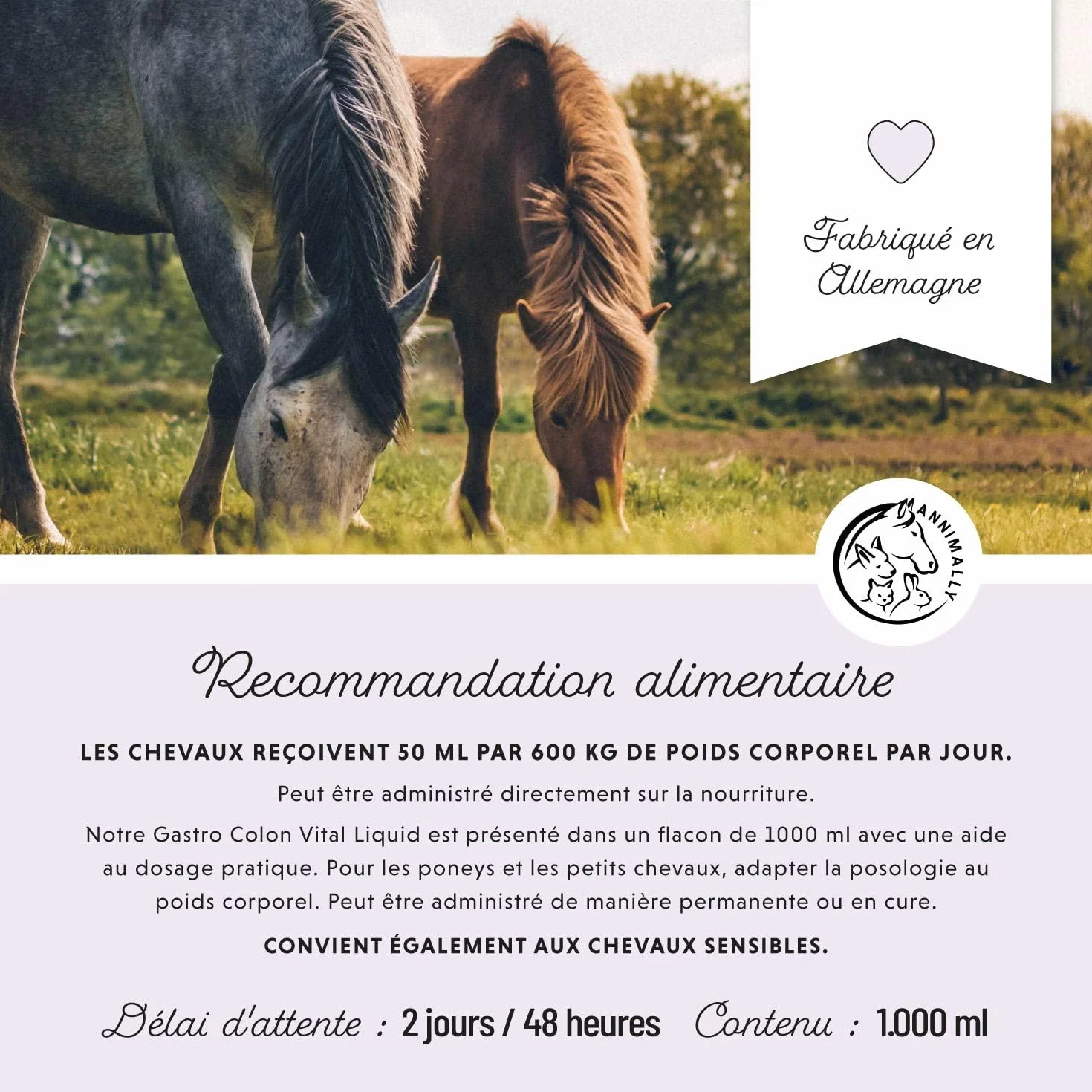Annimally Liquide Gastro-Intestinal pour Chevaux 1000 ML - Soutien Digestion Diarrhée Herbes Naturelles