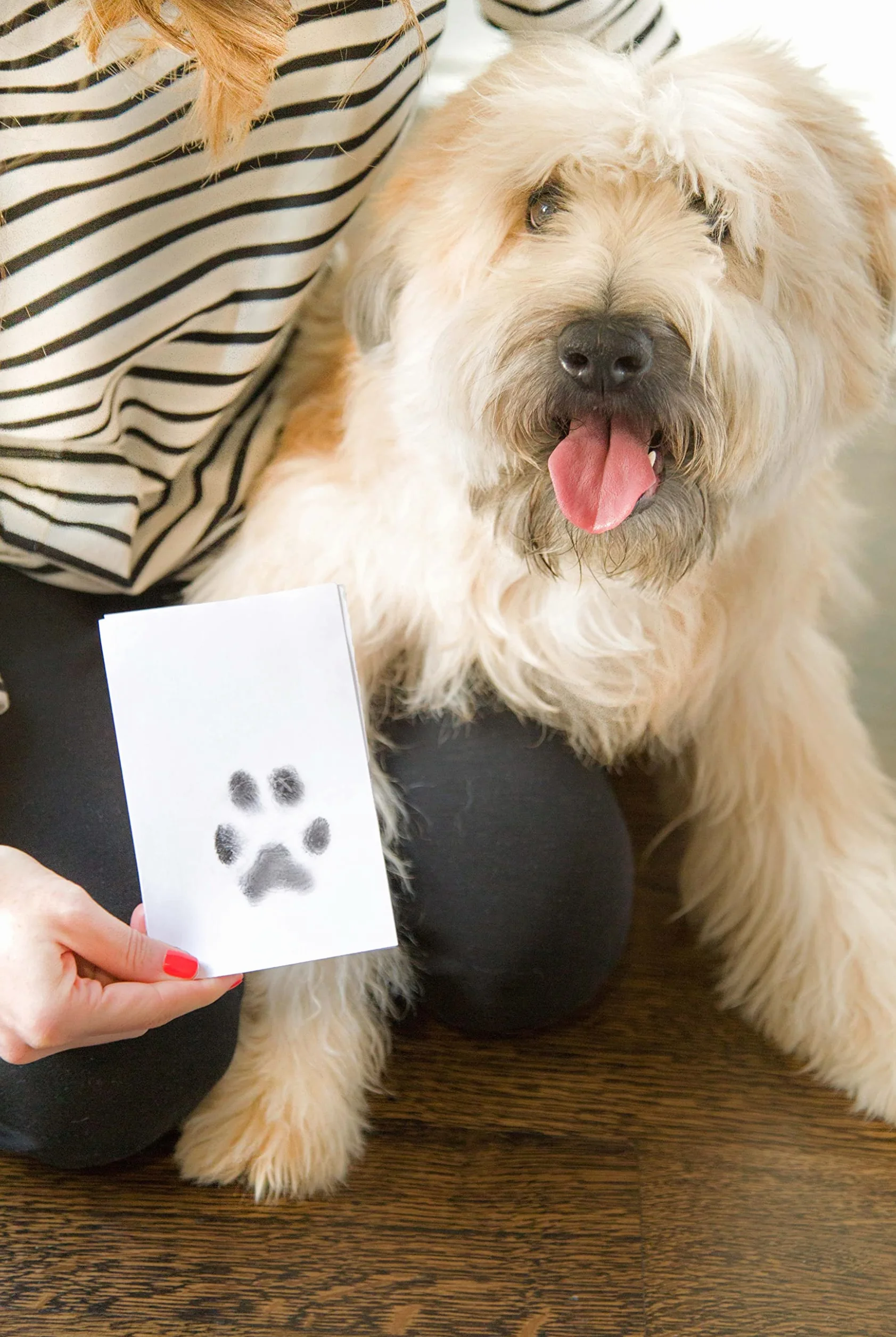 Pearhead Paw Print Clean Touch Ink Pad Kit for Dogs and Cats, Pet Keepsake