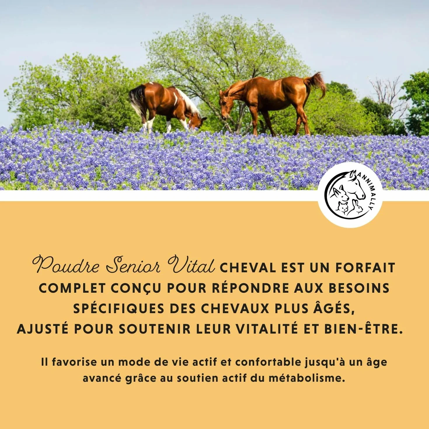 Annimally Senior Vital Poudre Cheval MSM Pépin de Raisin Glucosamine Griffe de Diable Complément Alimentaire Senior