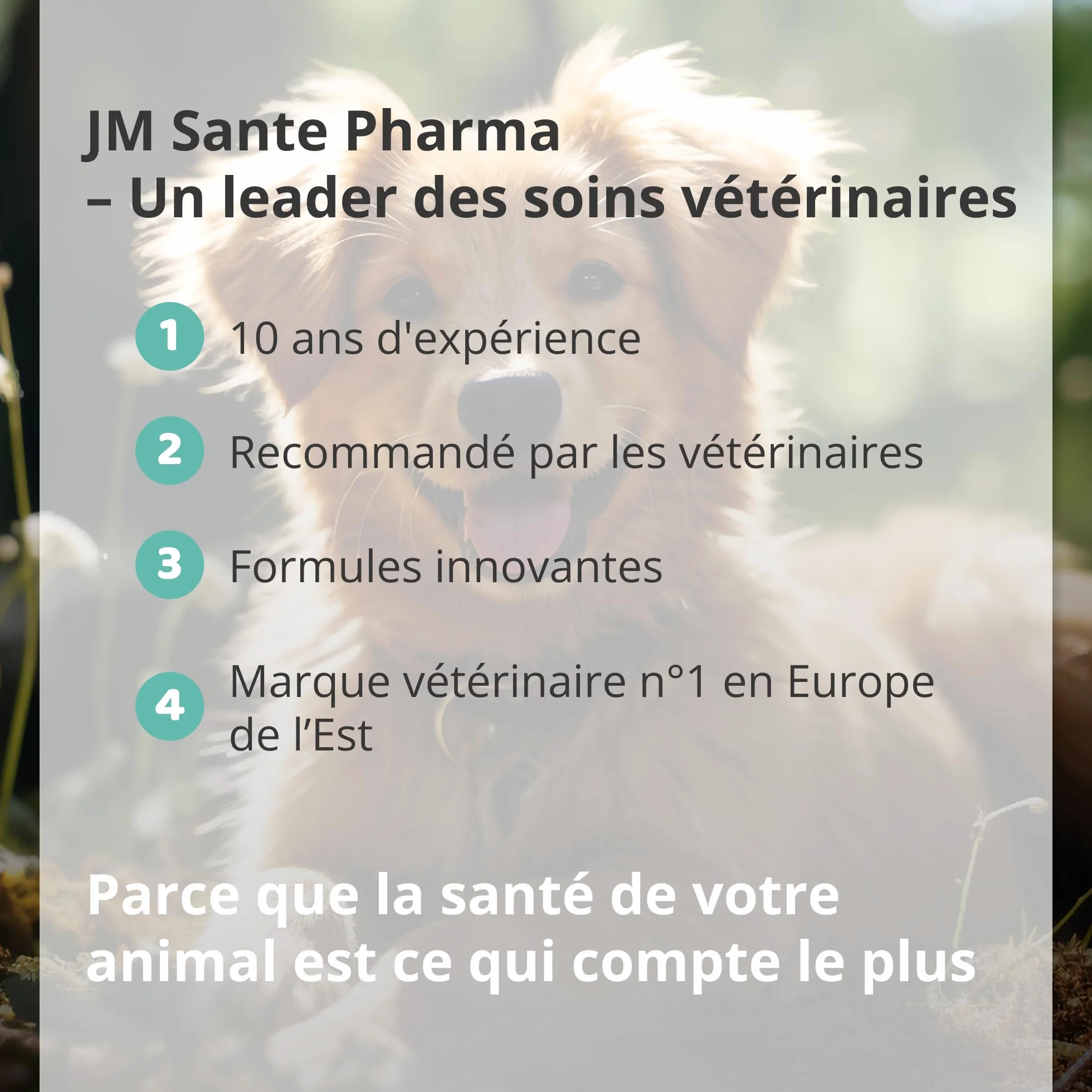 Spray Dentaire Professionnel pour Chiens et Chats – Élimine le Tartre et Mauvaise Haleine – 100 ML