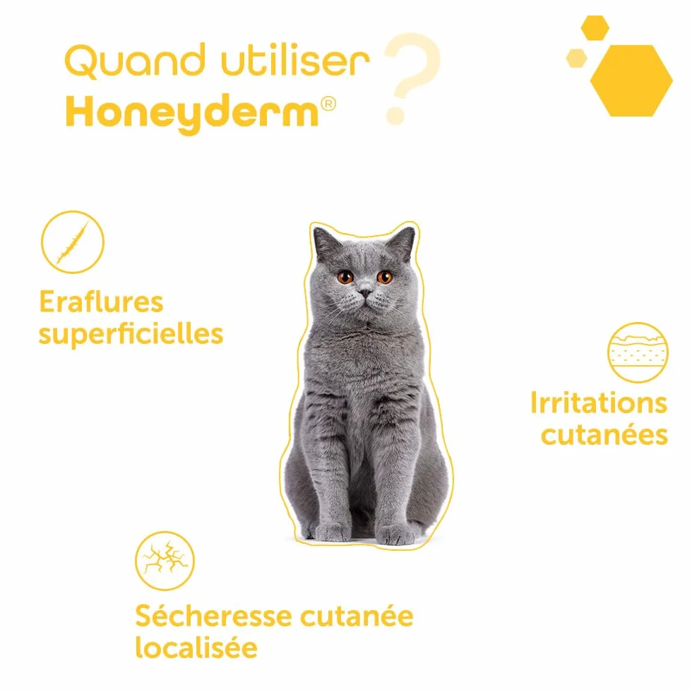 MP Labo Honeyderm Baume Réparateur 62g 70% Miel Chien Chat Acide Hyaluronique Vitamines A E Beurre Karité Aloe Vera Huile Lavande