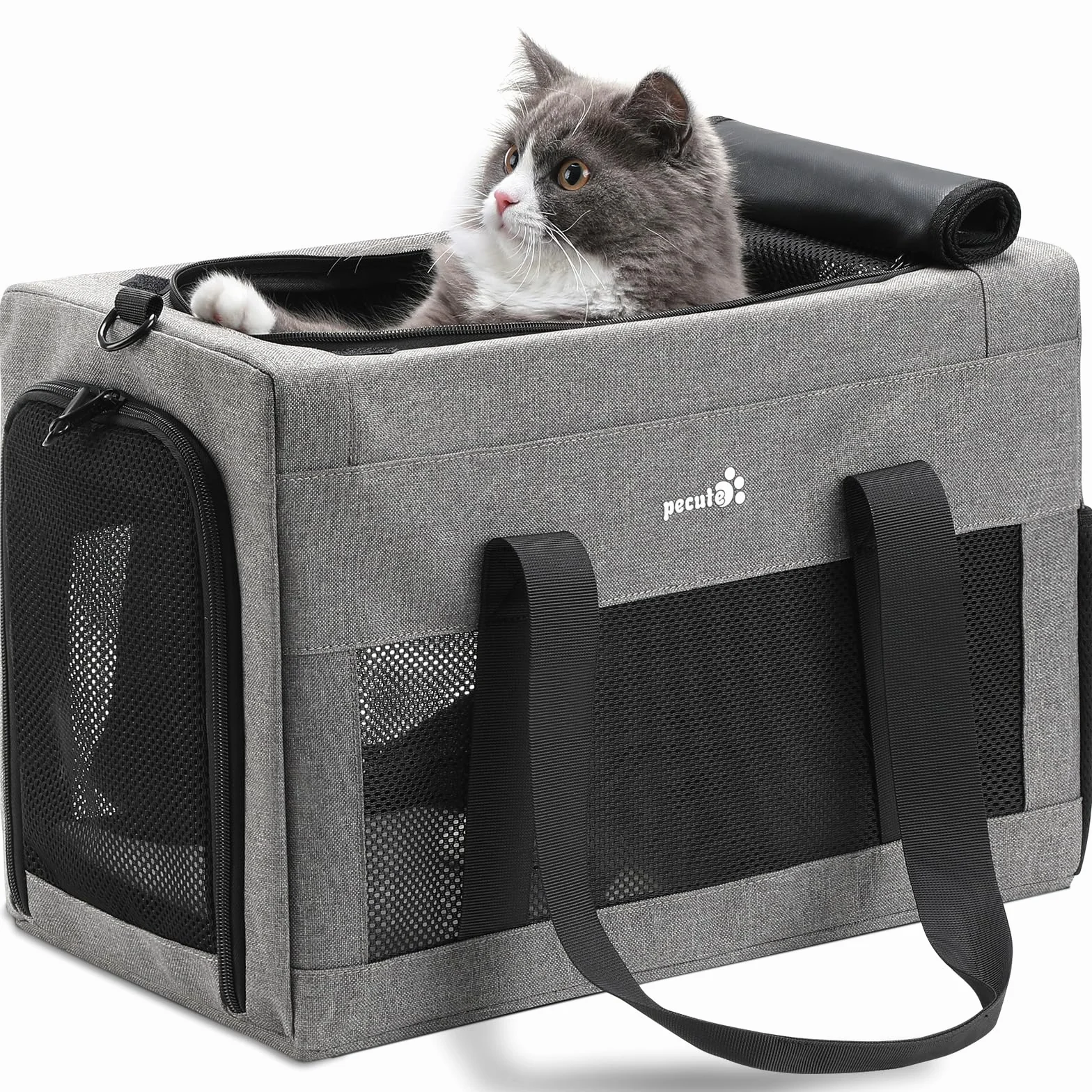 Pecute Sac de Transport pour Chat Approuvé par les Compagnies Aériennes Gris