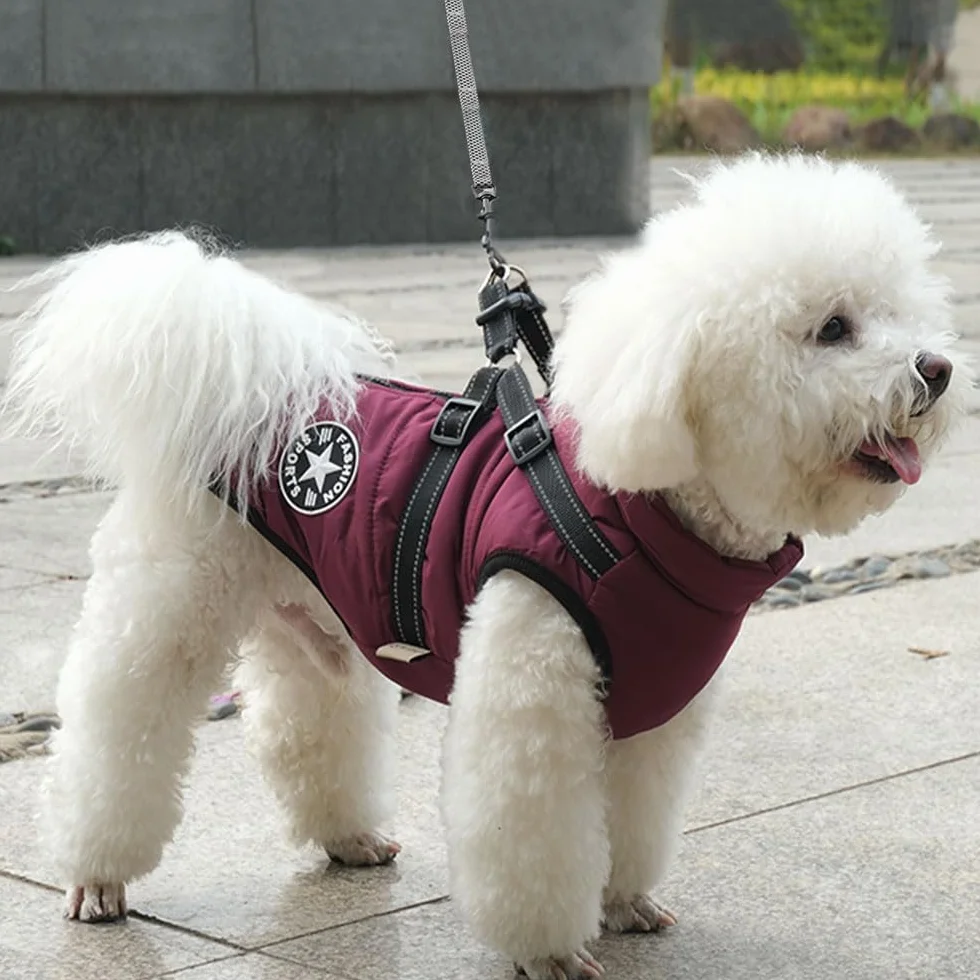 Manteau d'hiver imperméable pour chien avec harnais, bandes réfléchissantes, anneau en D durable, Violet 2XL