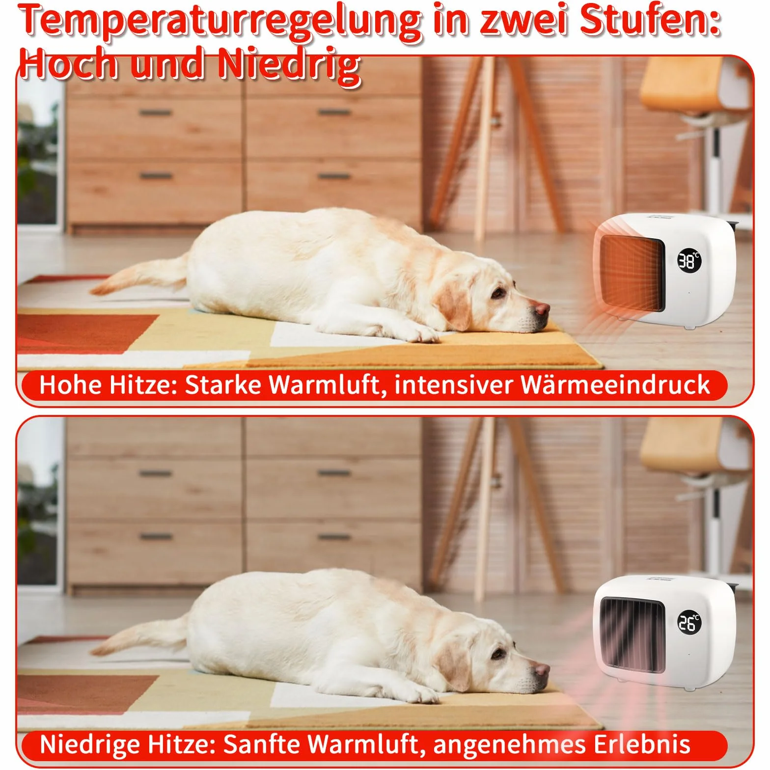 PAKESI Chauffage de Niche pour Chien 600W Thermostat Cordon Anti-mâchouillage Extérieur