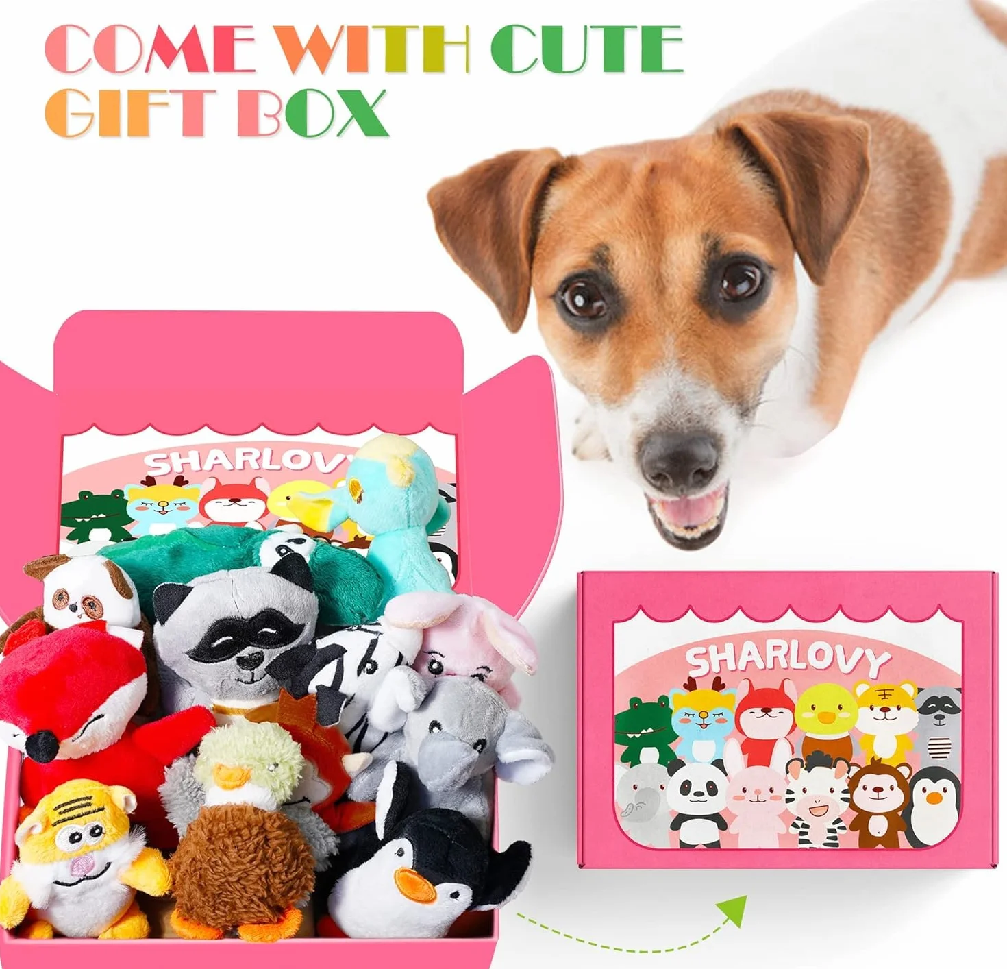 SHARLOVY jouet pour chien mousse en peluche 12P