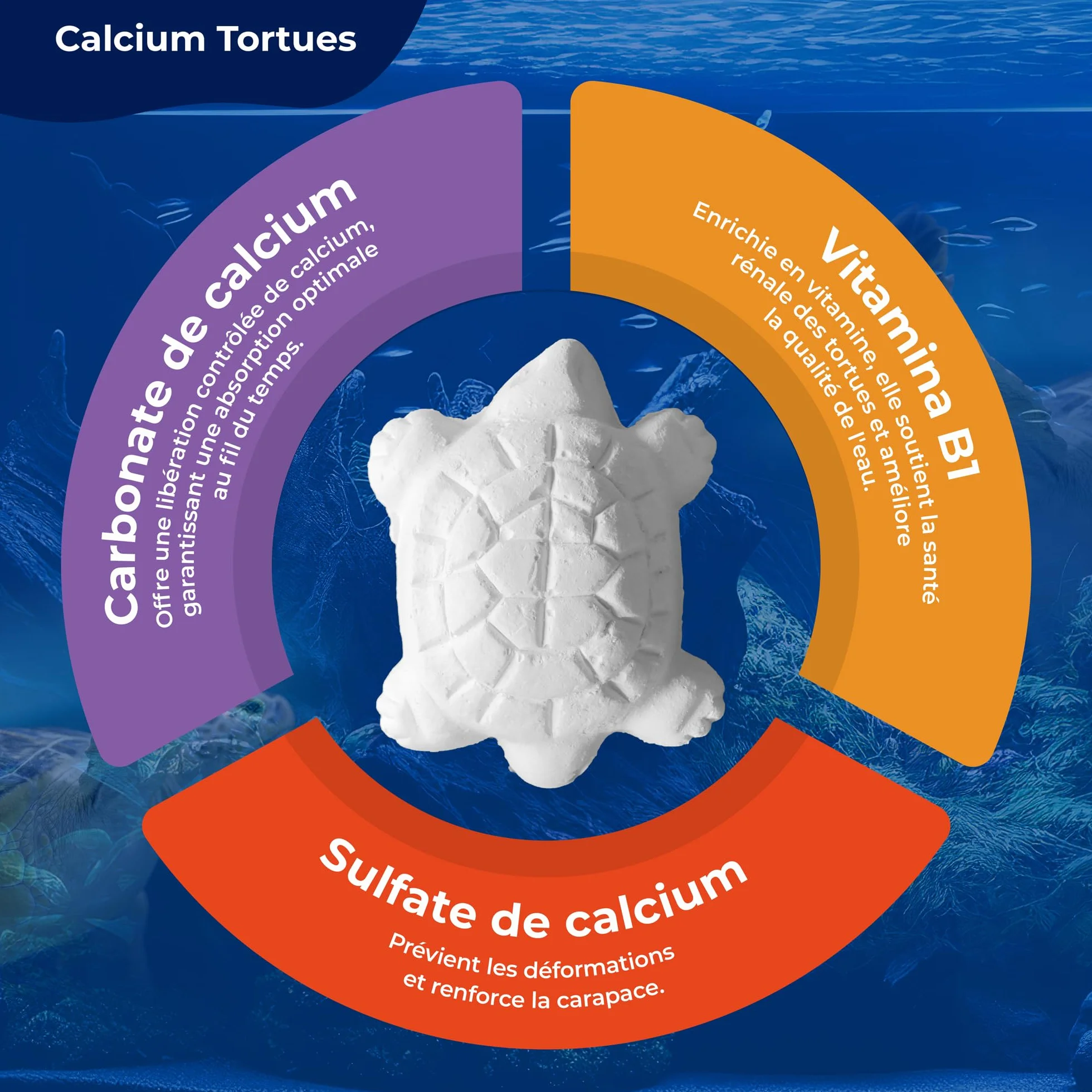 AF® Os de Seiche Tortue Alternatif, Pack 4 Pièces Calcium Tortue Terrestre et Aquatique, Bloc Minéral Libération Lente, Carapace Forte et Eau Propre, Formule Vitaminée Naturelle