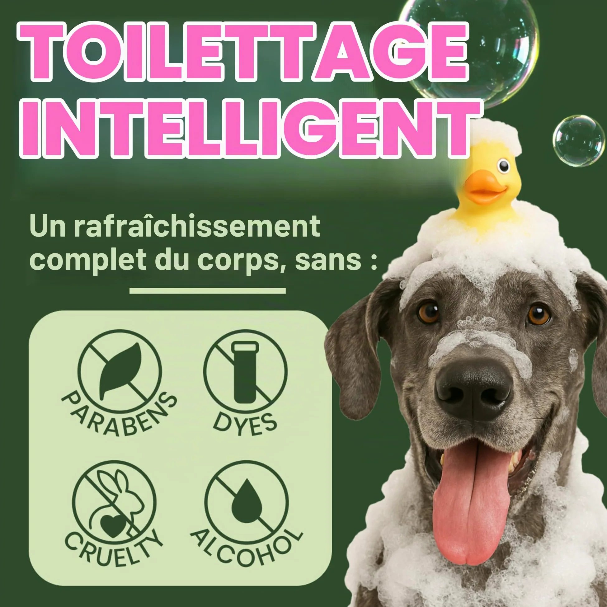 TropiClean Shampooing pour chiens et chats, nettoie et hydrate en profondeur, à base d’ingrédients naturels - Baies et noix de coco, 3,8 L