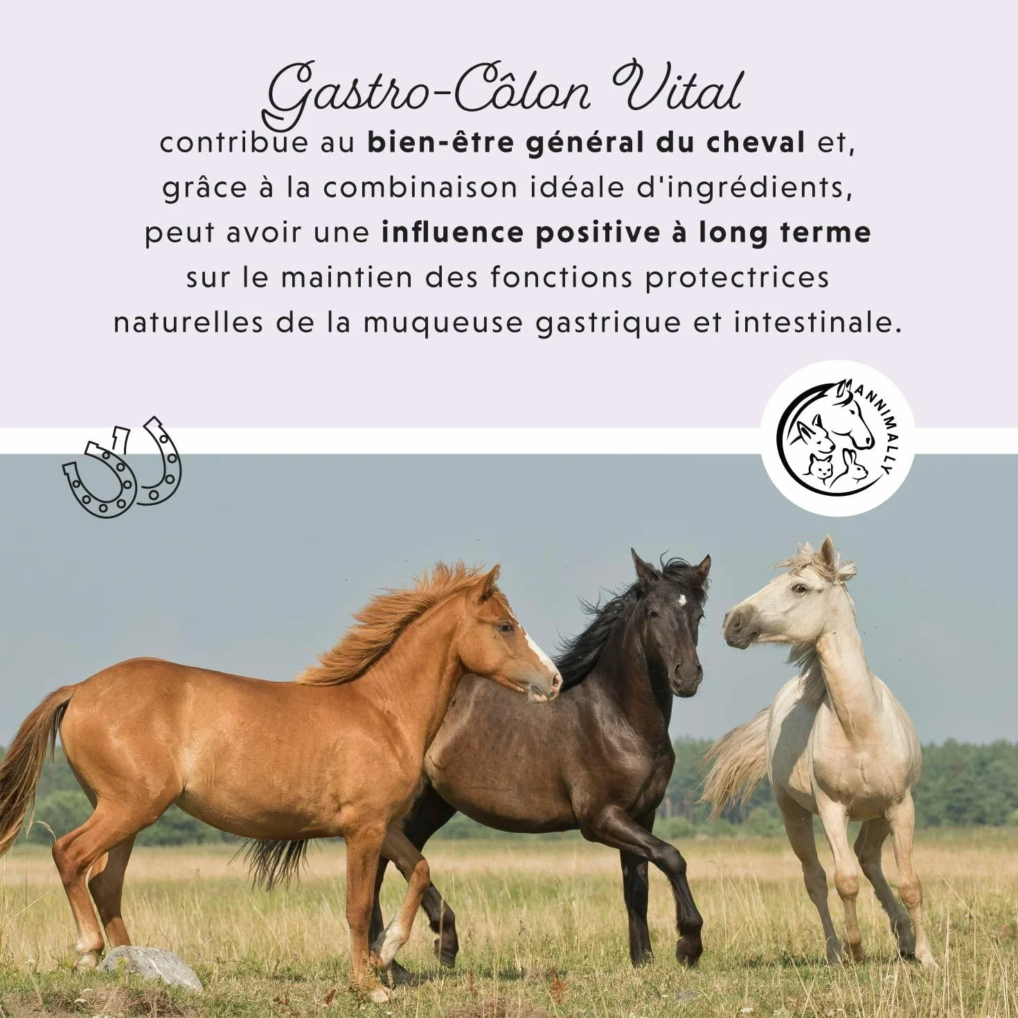 Annimally Liquide Gastro-Intestinal pour Chevaux 1000 ML - Soutien Digestion Diarrhée Herbes Naturelles