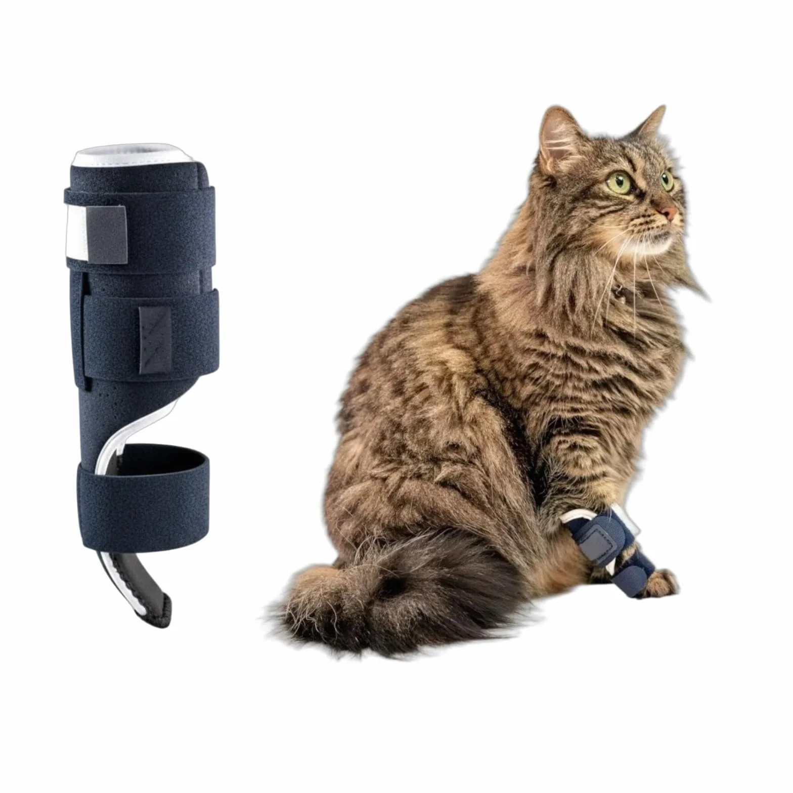 Attelage réglable pour pattes de chat avec attelle en aluminium amovible, stabilise os du poignet, fractures et entorses