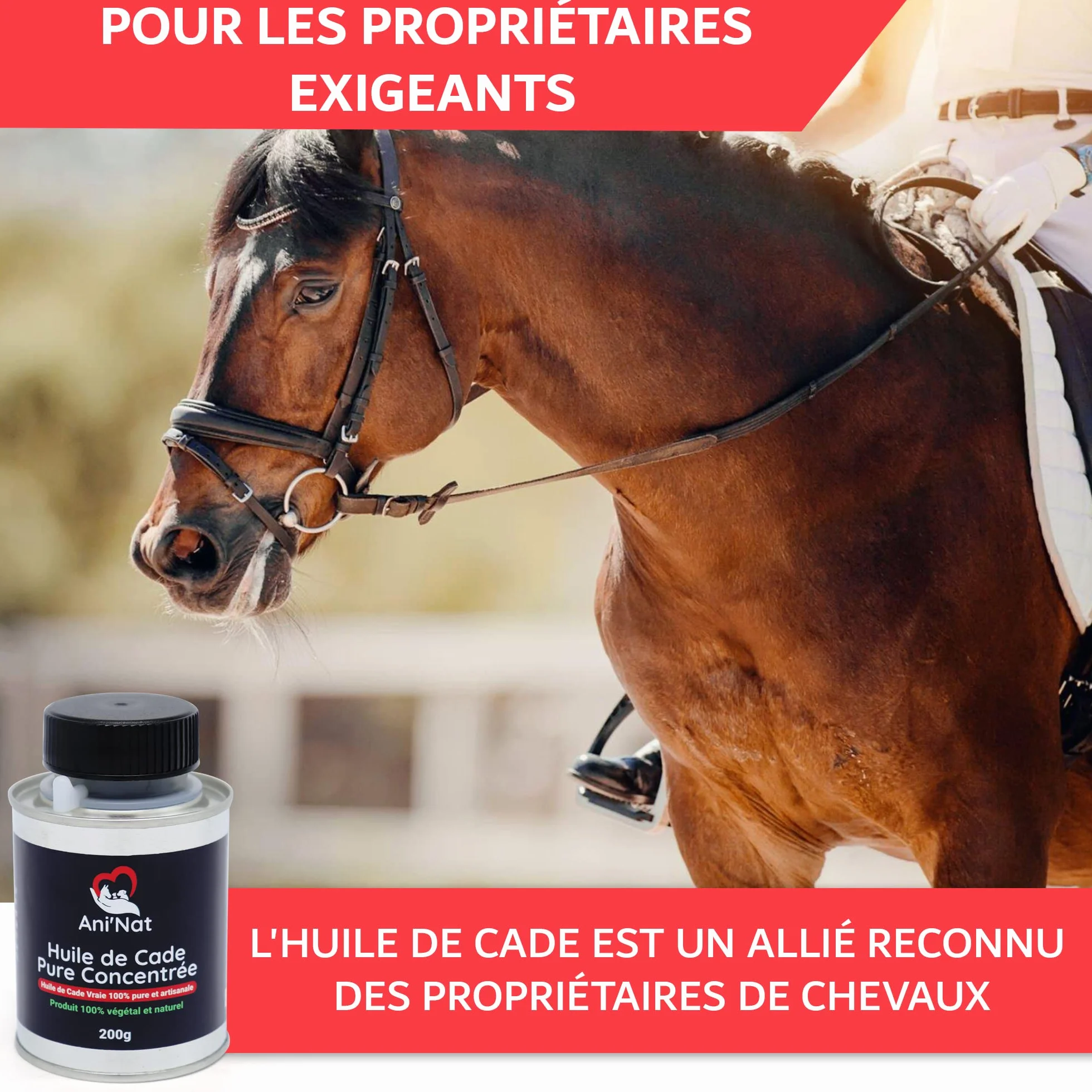 AniNat Huile de Cade Pure Concentrée 100% Naturelle - Soin Pattes Poules, Sabots Chevaux, Dermite - Pot 200g