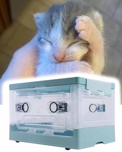 Chambre à oxygène portable pour chiots et chatons, soutient la santé respiratoire
