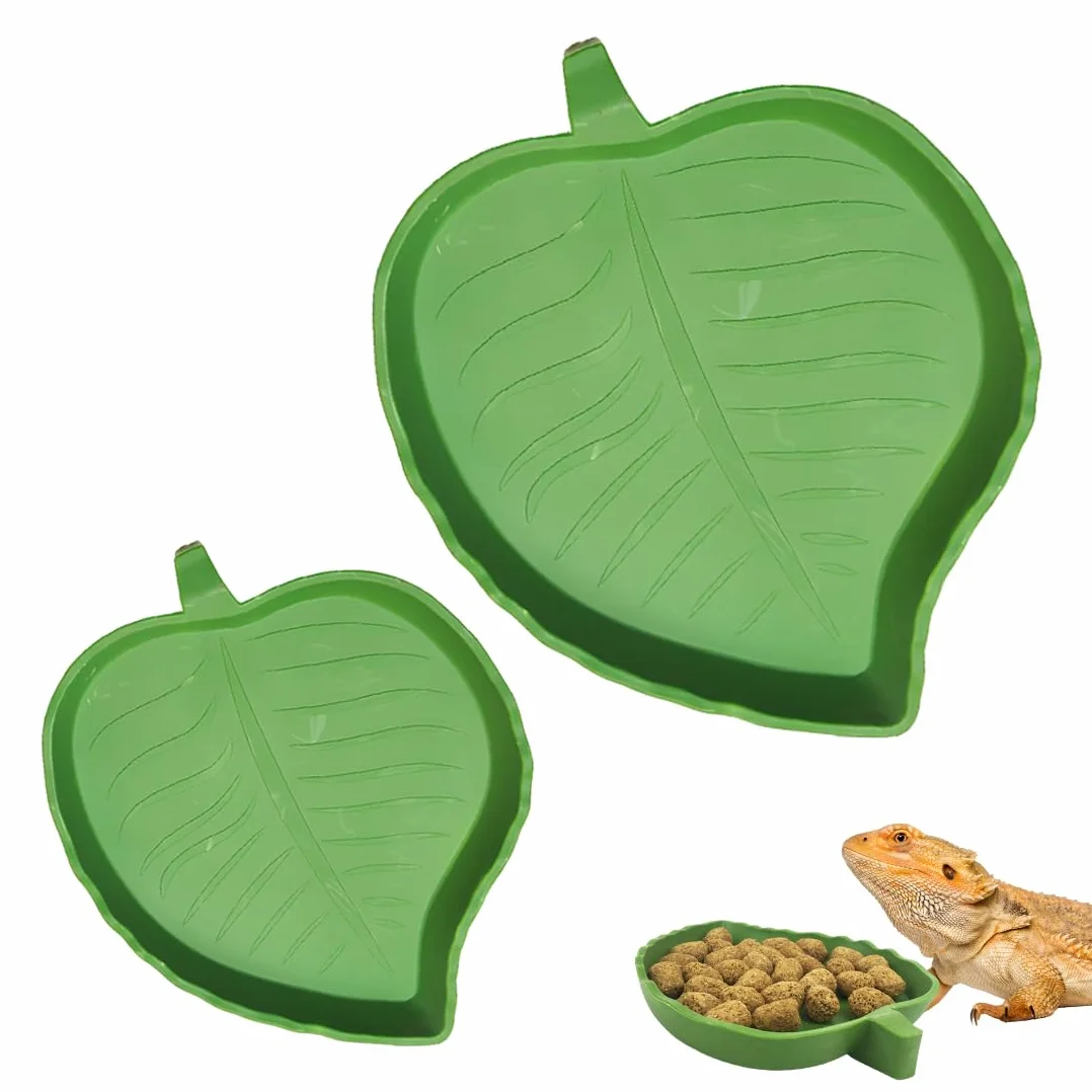 Terrarium Tortue Terrestre 2 Pièces Bols Eau Nourriture Reptiles Vert