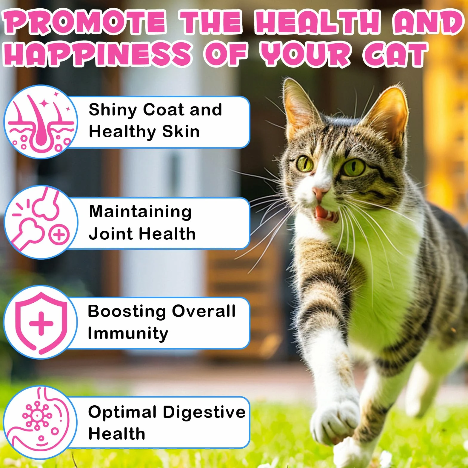Collagène pour Chats - Soulagement Démangeaisons et Soutien Articulaire - Santé Peau Pelage - 60ml
