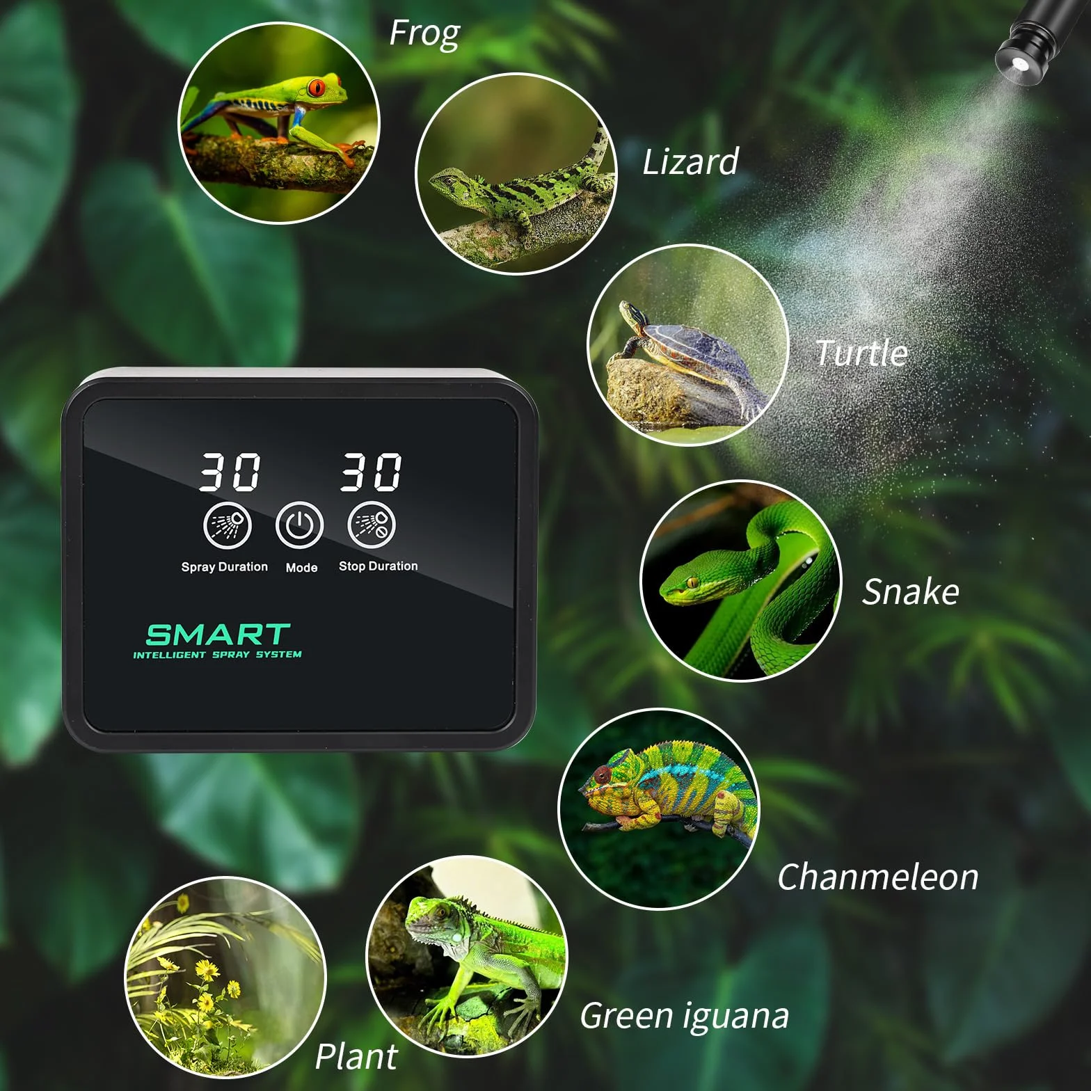 Brumisateur Terrarium avec Minuterie et Arroseur 360° pour Amphibiens Reptiles