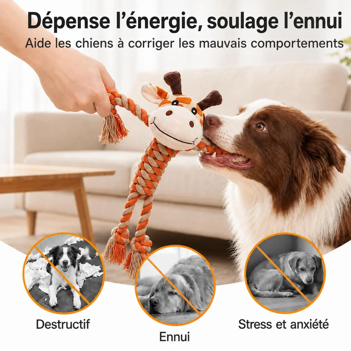 Potaroma Jouet à Mâcher pour Chien, Corde en Coton avec Peluche Crocodile