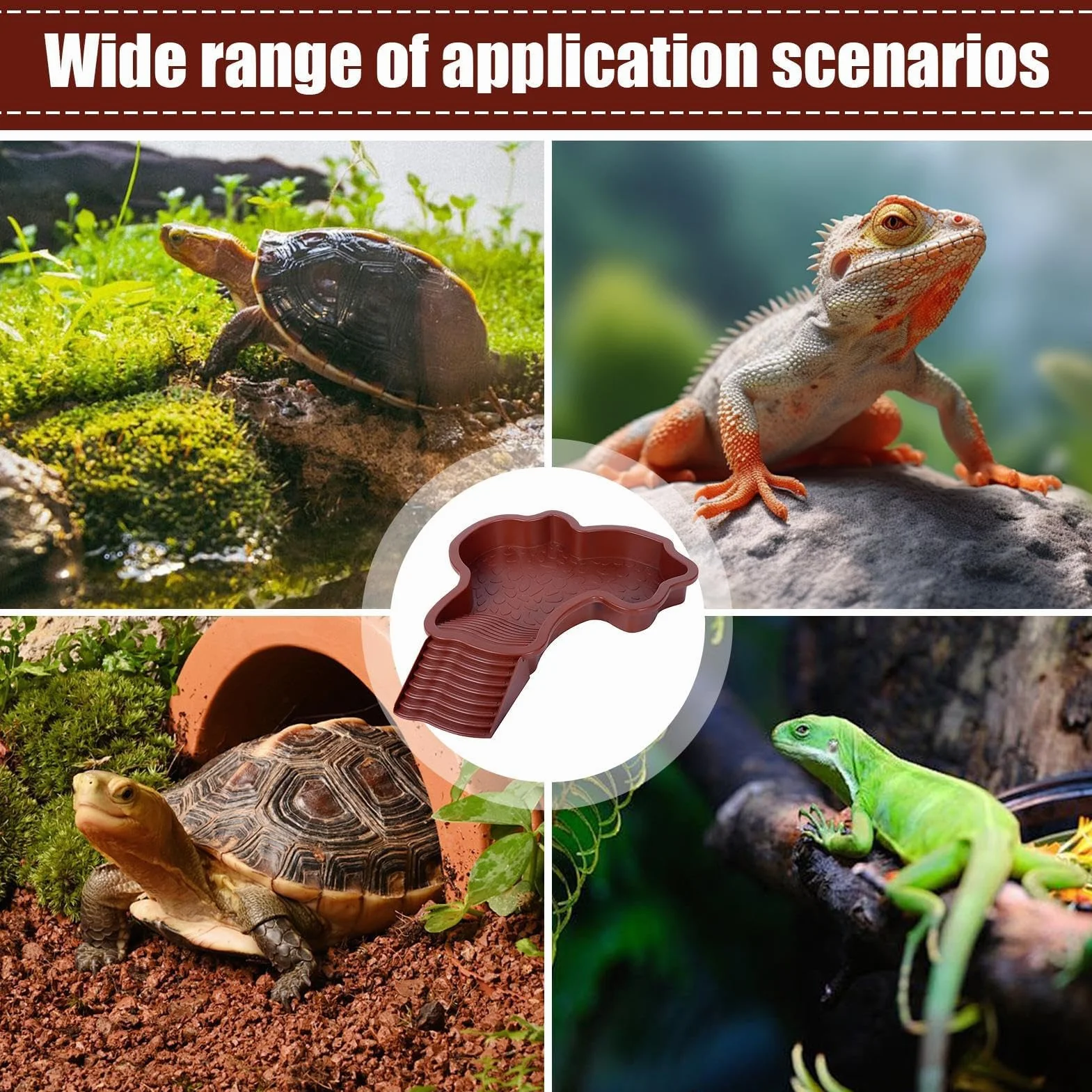 Bassin pour Tortue avec Rampe et Échelle, Plat d'eau pour Reptiles, Mangeoire pour Terrasse
