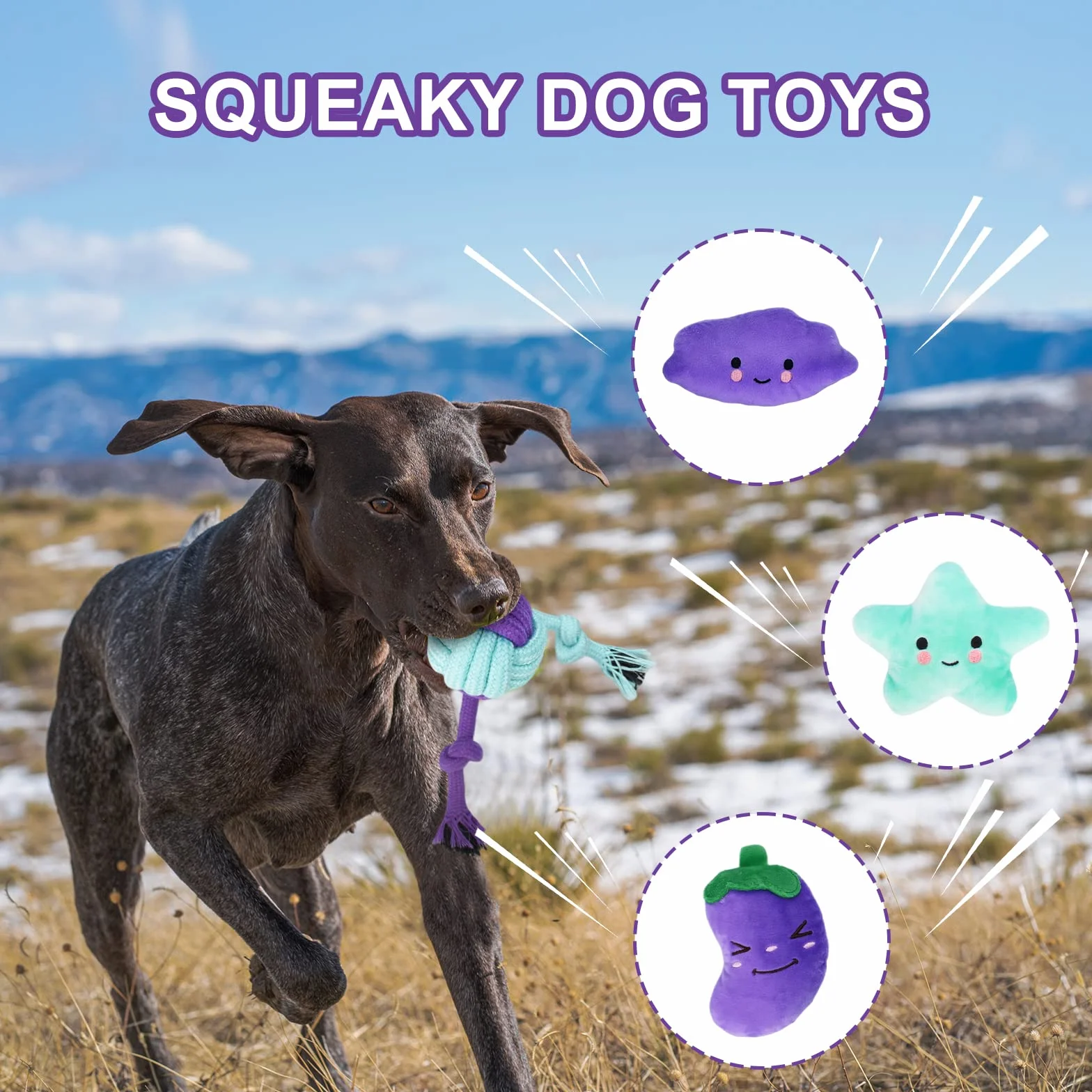 Lot de 20 Jouets pour Chiens - Corde Balle Jouet à Mâcher Interactif