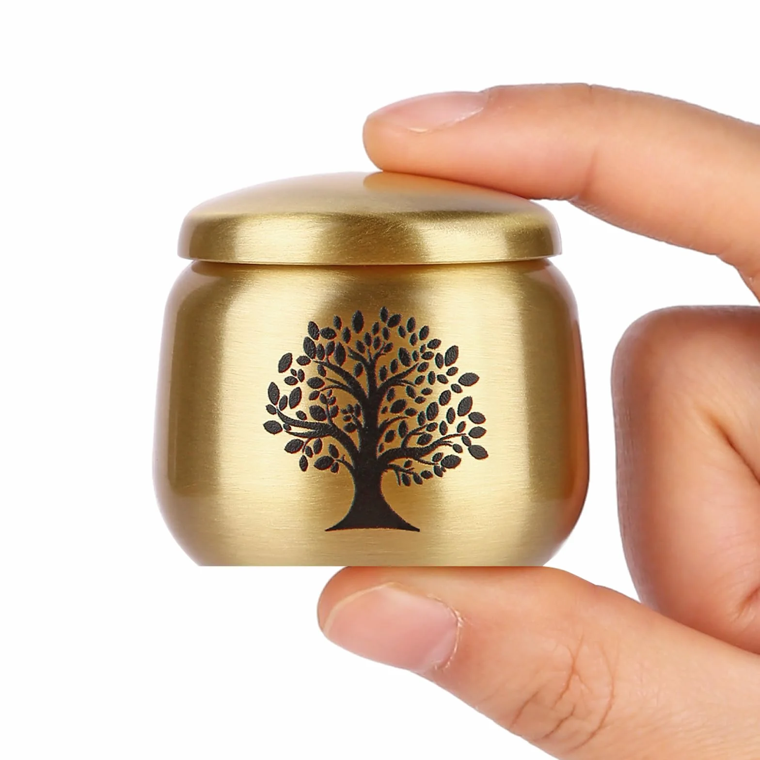 Urne funéraire en Laiton Motif Arbre de Vie pour Cendres Adultes, Femmes, Animaux domestiques 2.5 Pouces Cubes