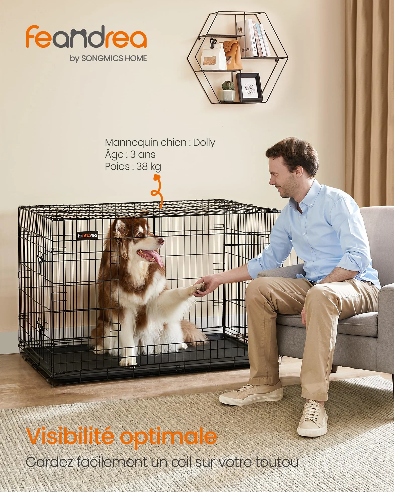 Feandrea Cage pour Chien Pliable 2 Portes Plateau Amovible 122 x 74,5 x 80,5 cm Taille XXL Noir
