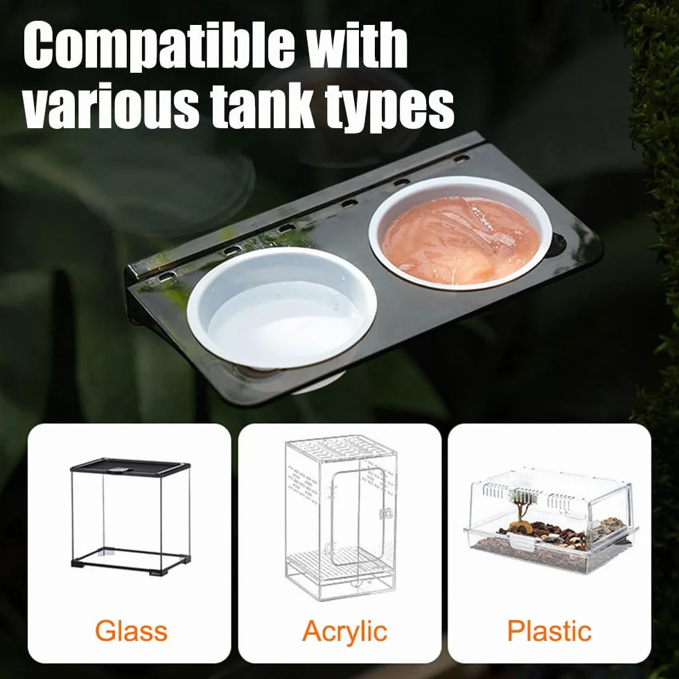 DONGKER Gamelle à Eau et Nourriture pour Reptiles, Mangeoire Magnétique pour Lézard, Tortue, Scorpion, Plat à Eau pour Réservoirs < 4 mm