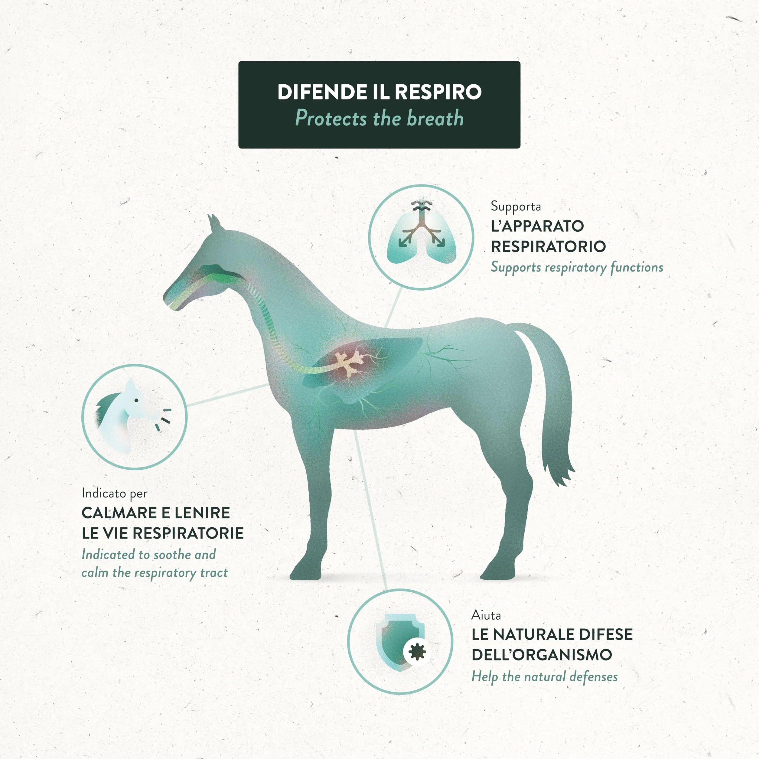 Equibar Respirity 600g Barre naturelle soutien système respiratoire immunitaire cheval