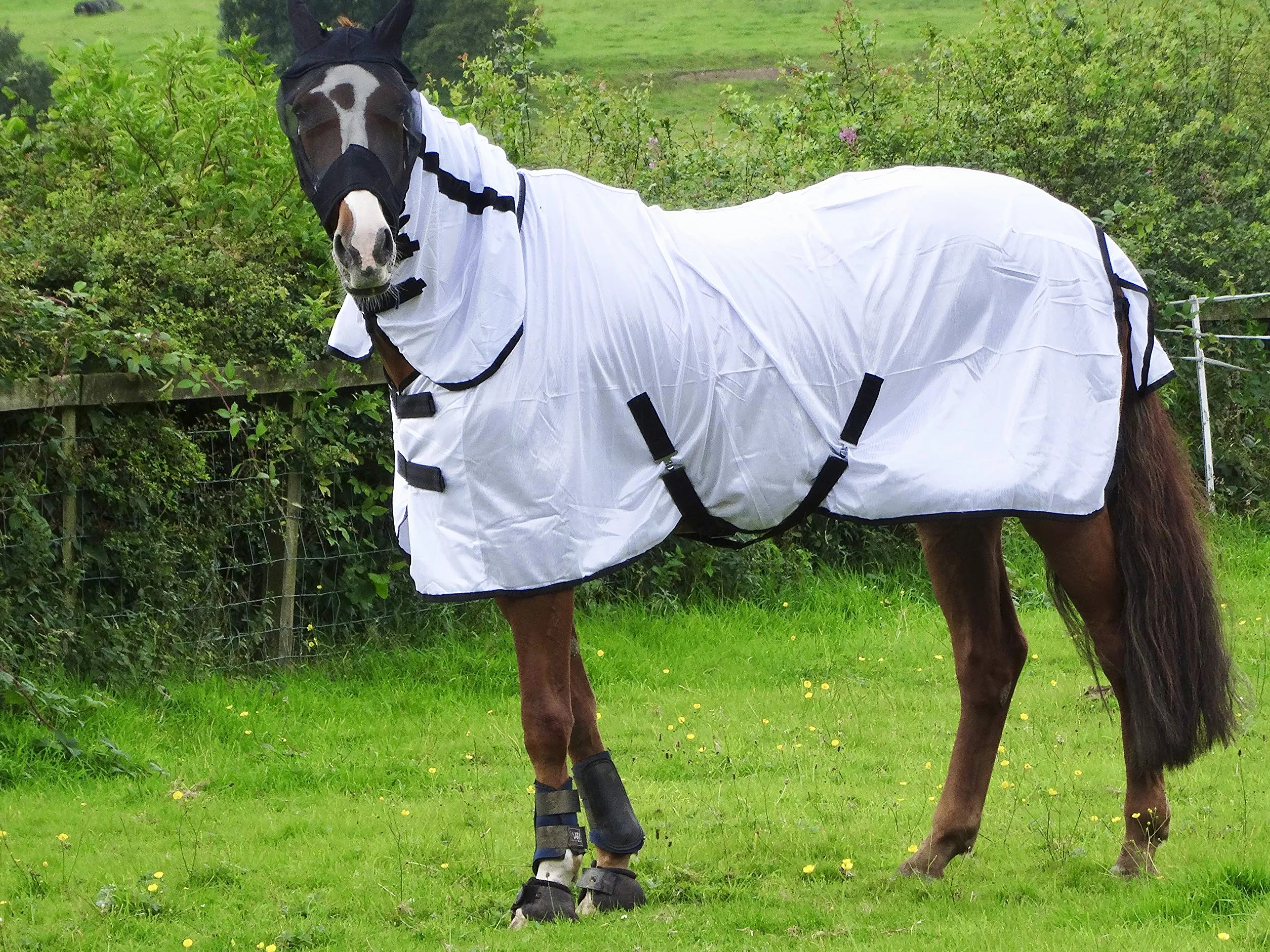 Tapis anti-mouches pour cheval Turner blanc froid 1,6 m col complet