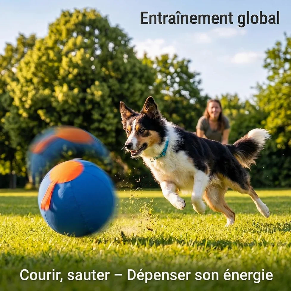 45/55/65 Cm Balle De Troupeau pour Chien | Ballon Géant Gonflable | Ultra Résistant aux Griffes et Mordillements | Poignée de Transport Intégrée | Idéal pour Jeux Interactifs (S:45CM)