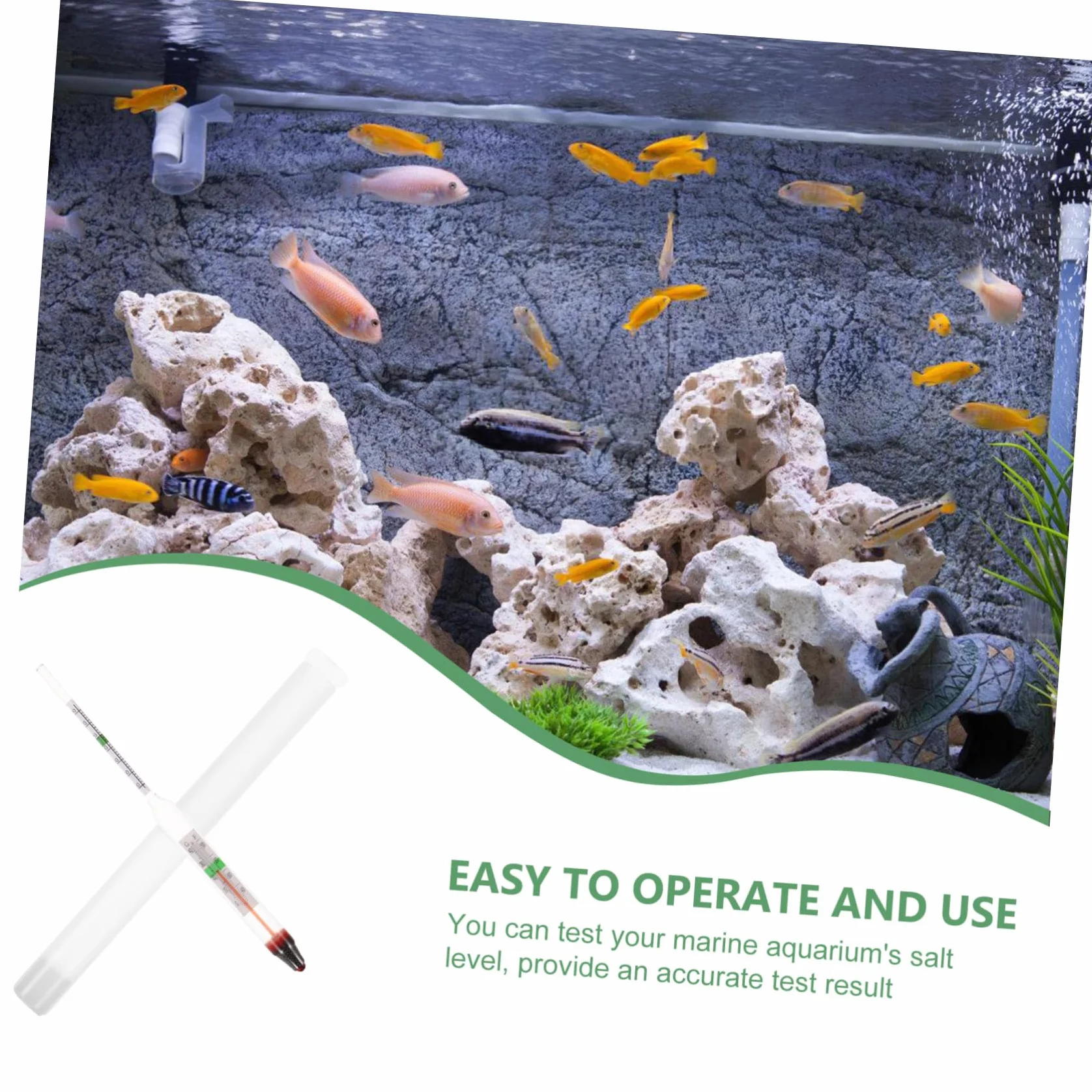 Toddmomy Densimètre Pour Aquarium Hydromètre De Salinité Kit De Test Eau De Mer Mesureur De Densité Verre