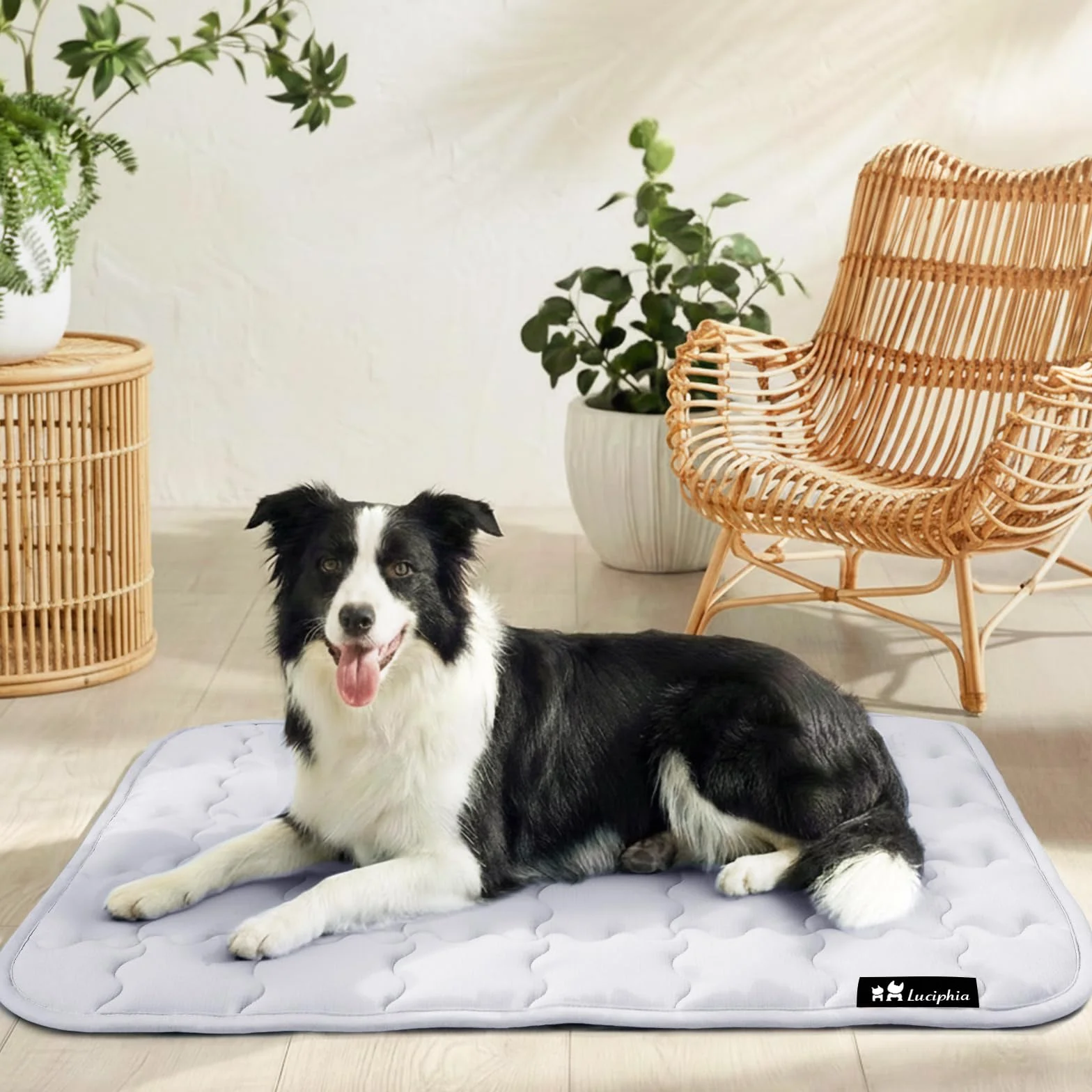 Tapis Rafraîchissant pour Chien et Chat, Lit Lavable pour Chien Gris 51x77cm